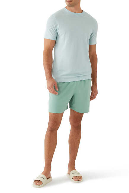 Traveler Swim Trunks