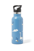 Kids Dino Insulated Water Bottle