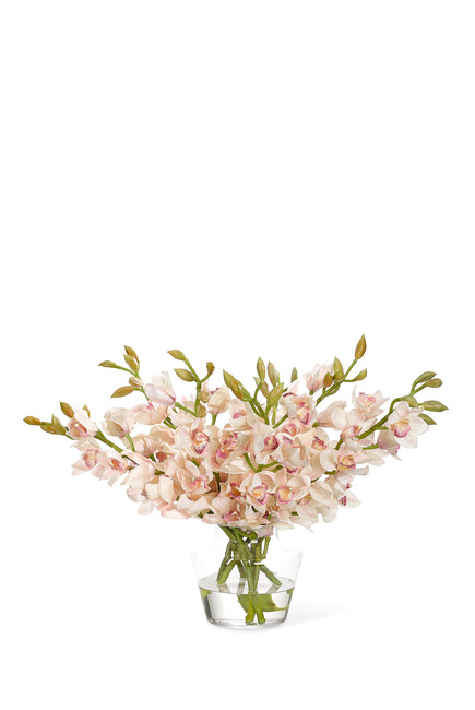 زهور الأوركيد سيمبيديوم