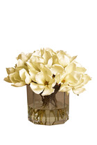 زهور ماغنوليا في مزهرية زجاجية