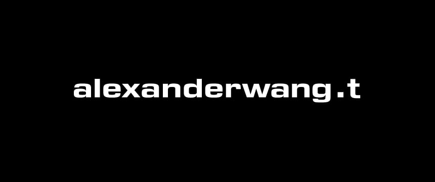 t-by-alexander-wang-banner