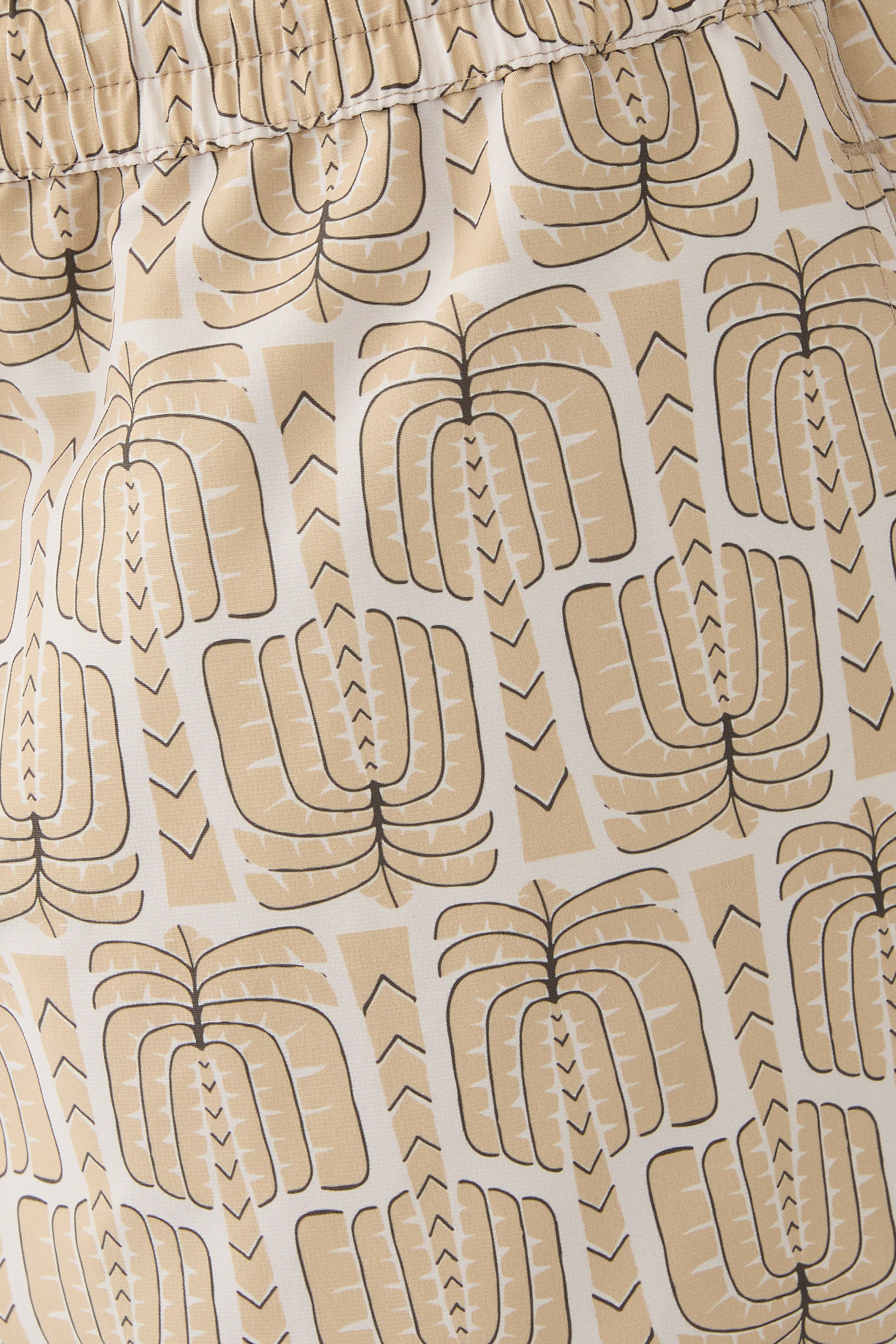 شورت سباحة بالمیرا ريو سبورت