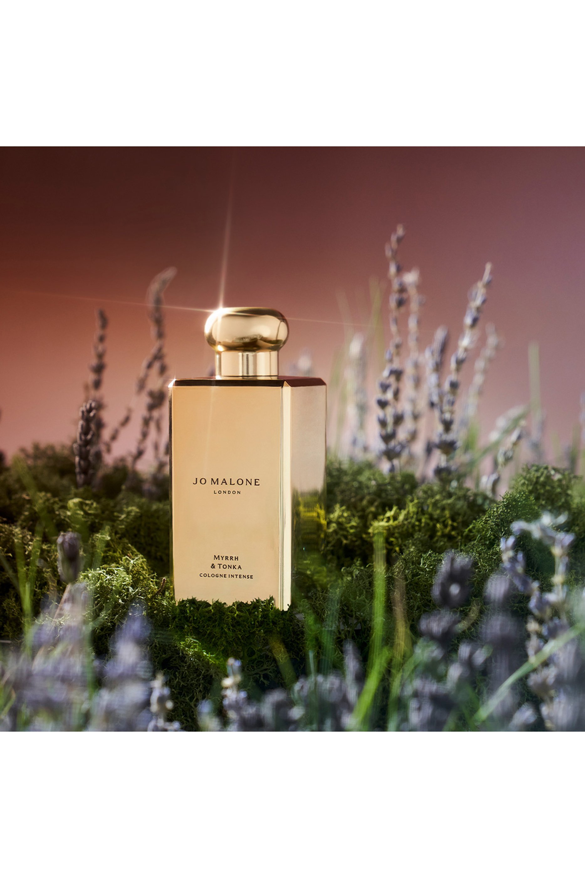 كولونيا مركز مر اند تونكا بإصدار خاص