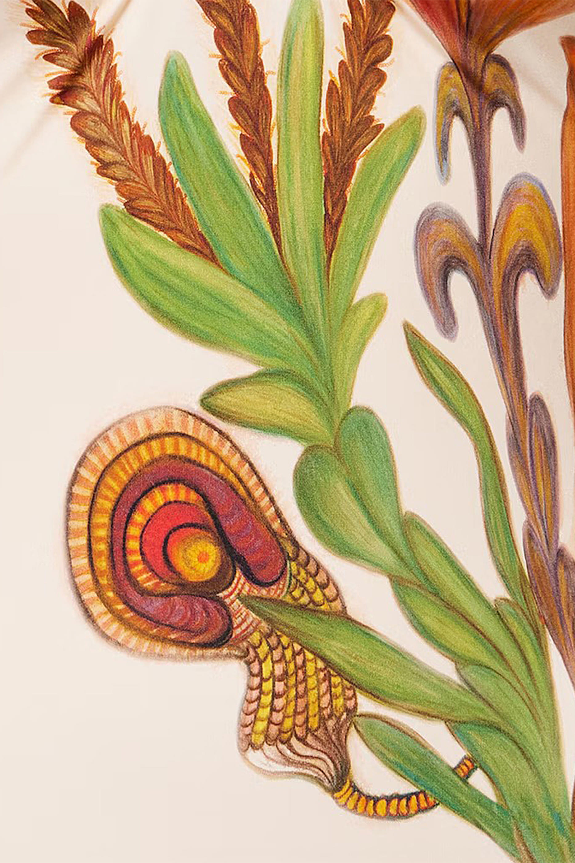 بدلة سباحة مونتيري بلا حمالات