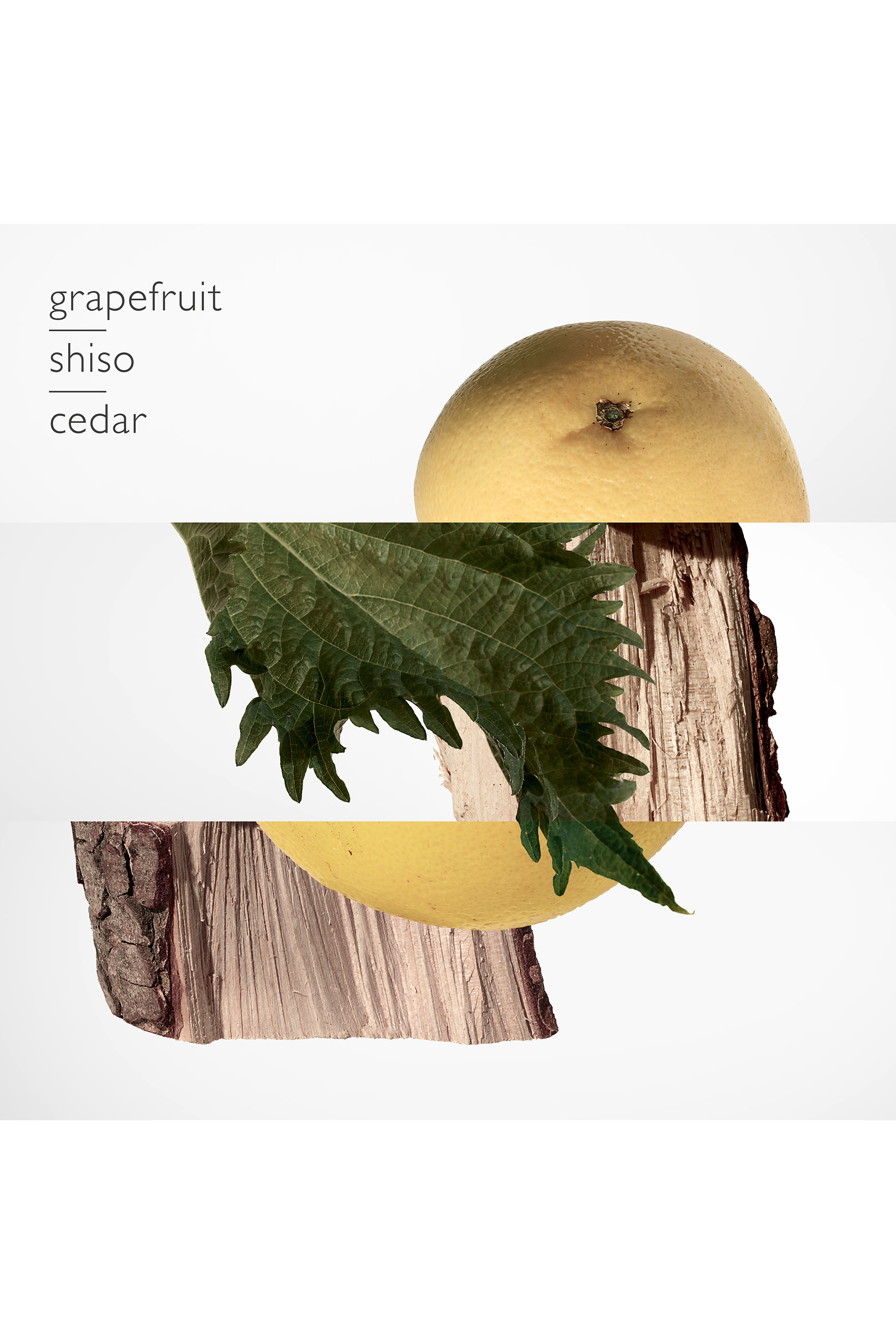 Terre d'Herm&egrave;s, قارورة بديلة من عطر