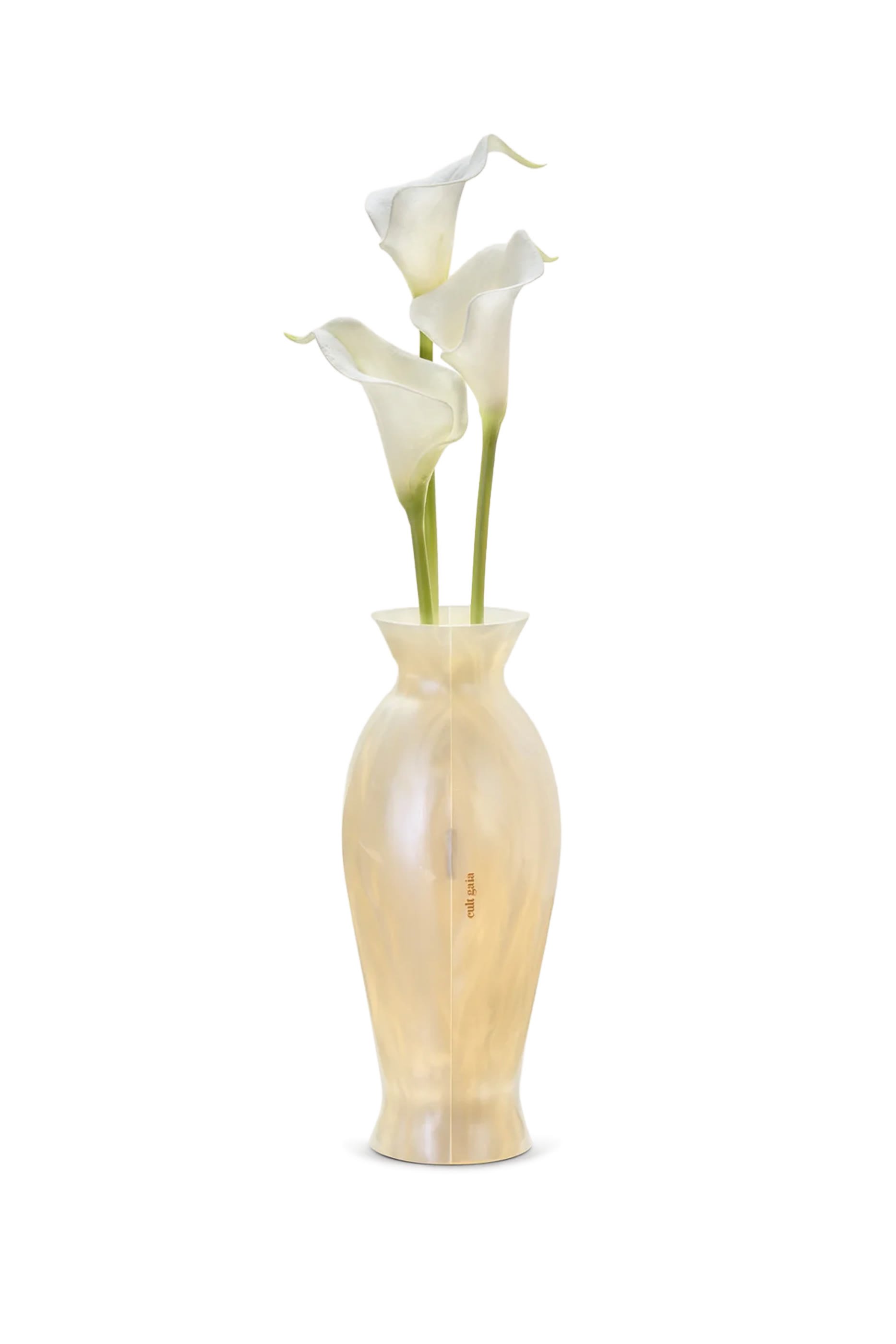 كلاتش فلورنس