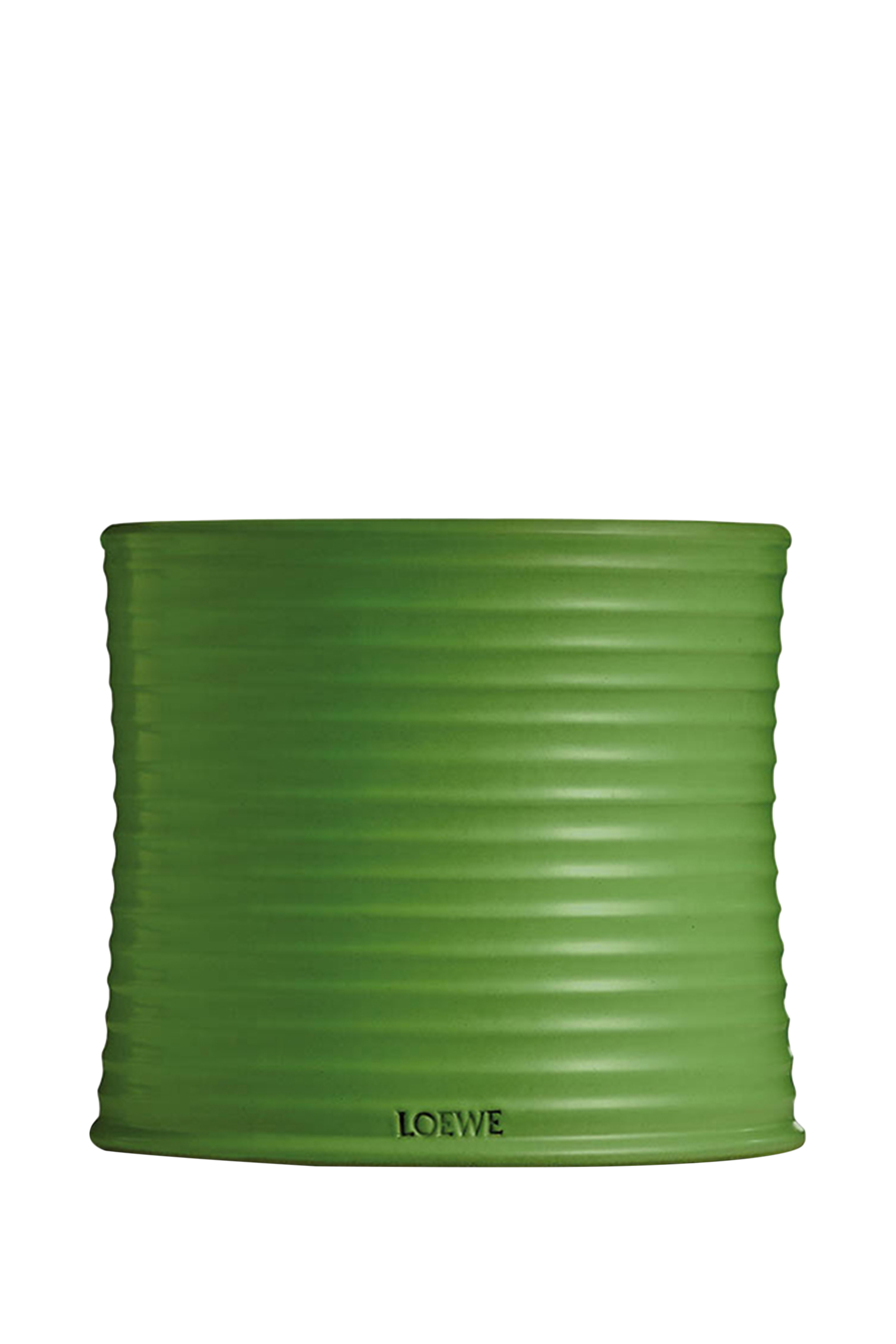 شمعة لوشيس بيي معرطة