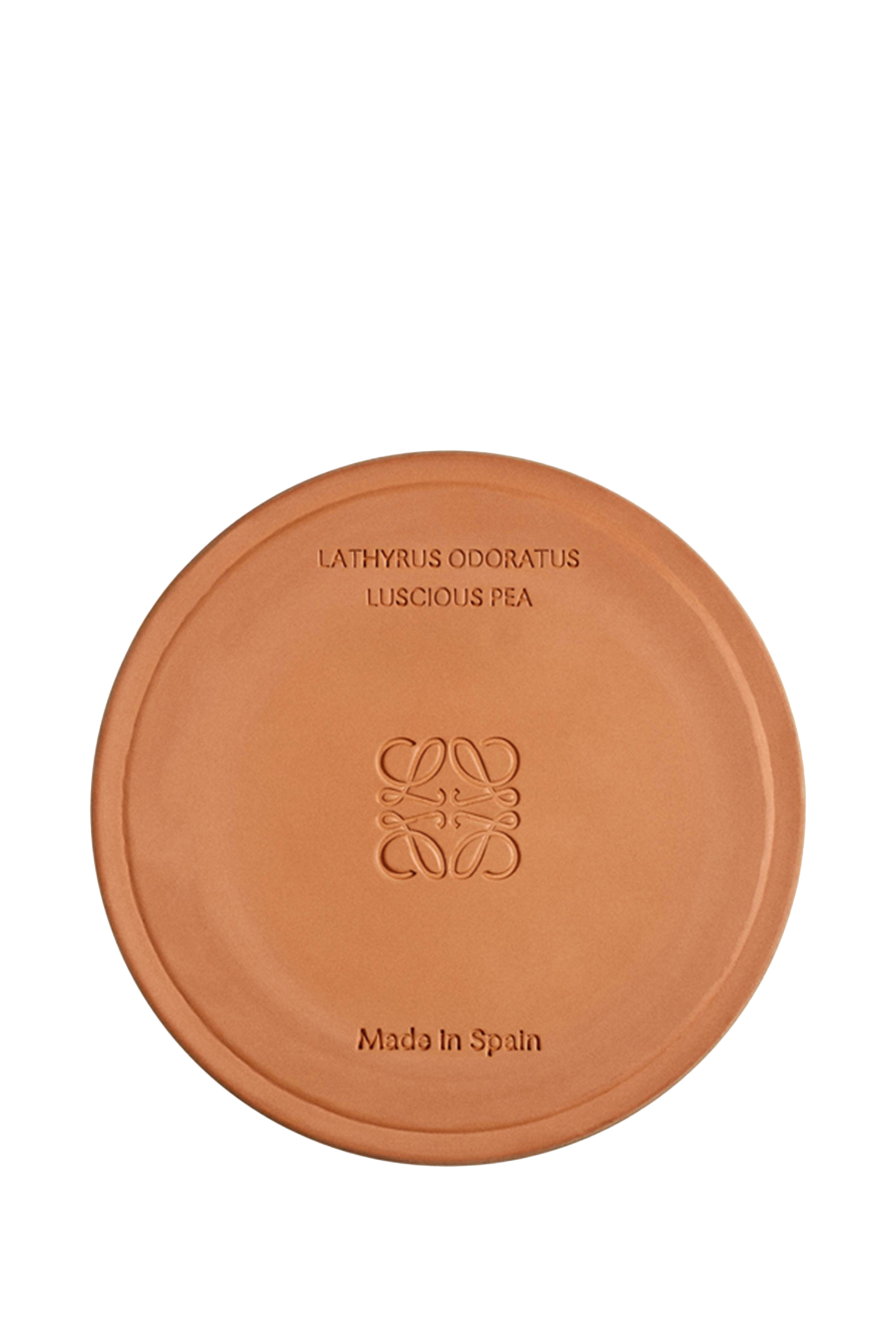 شمعة لوشيس بيي معرطة