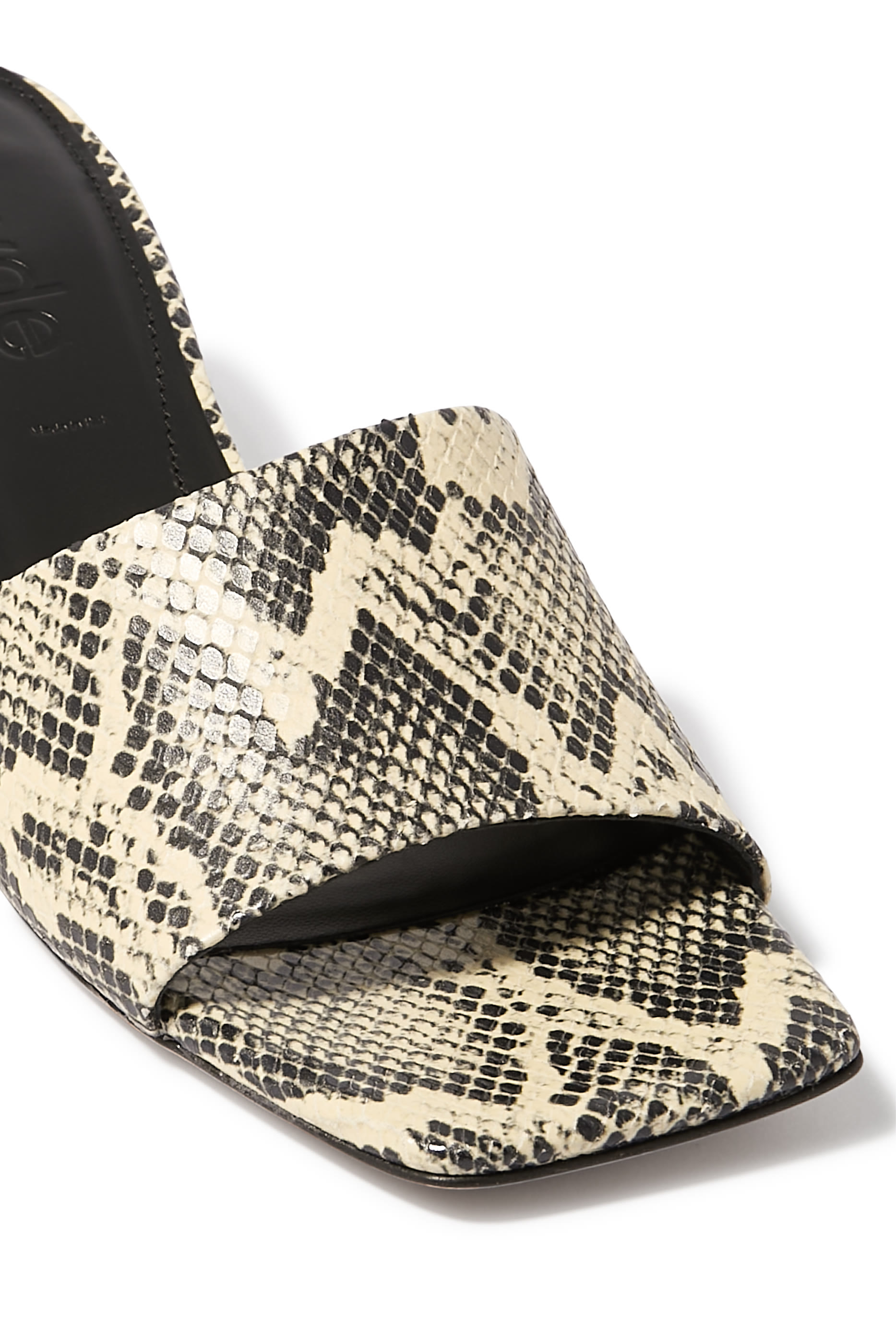 صنل جيني 55 جلد