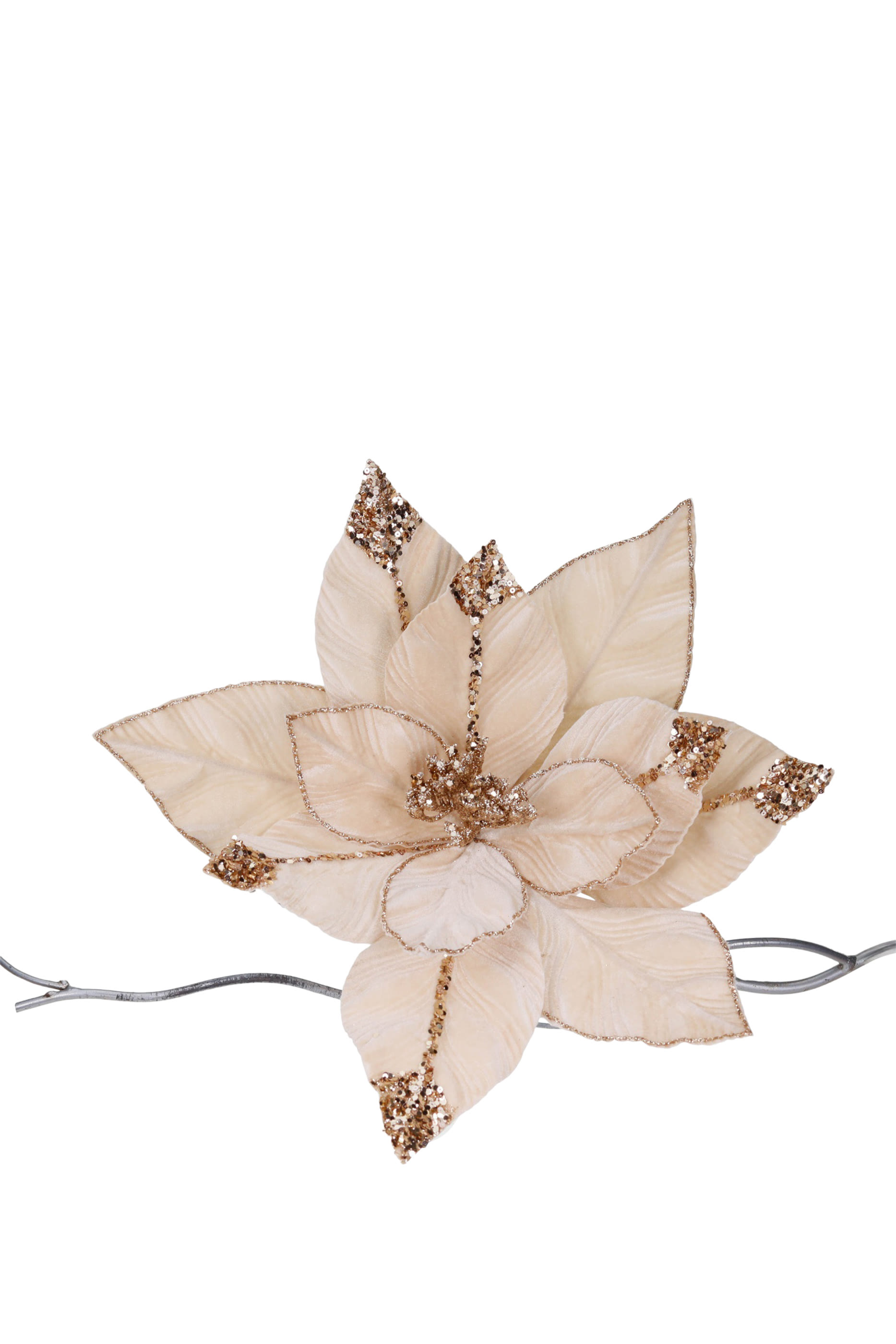 زينة بتصميم زهرة البونسيتة على مشبك