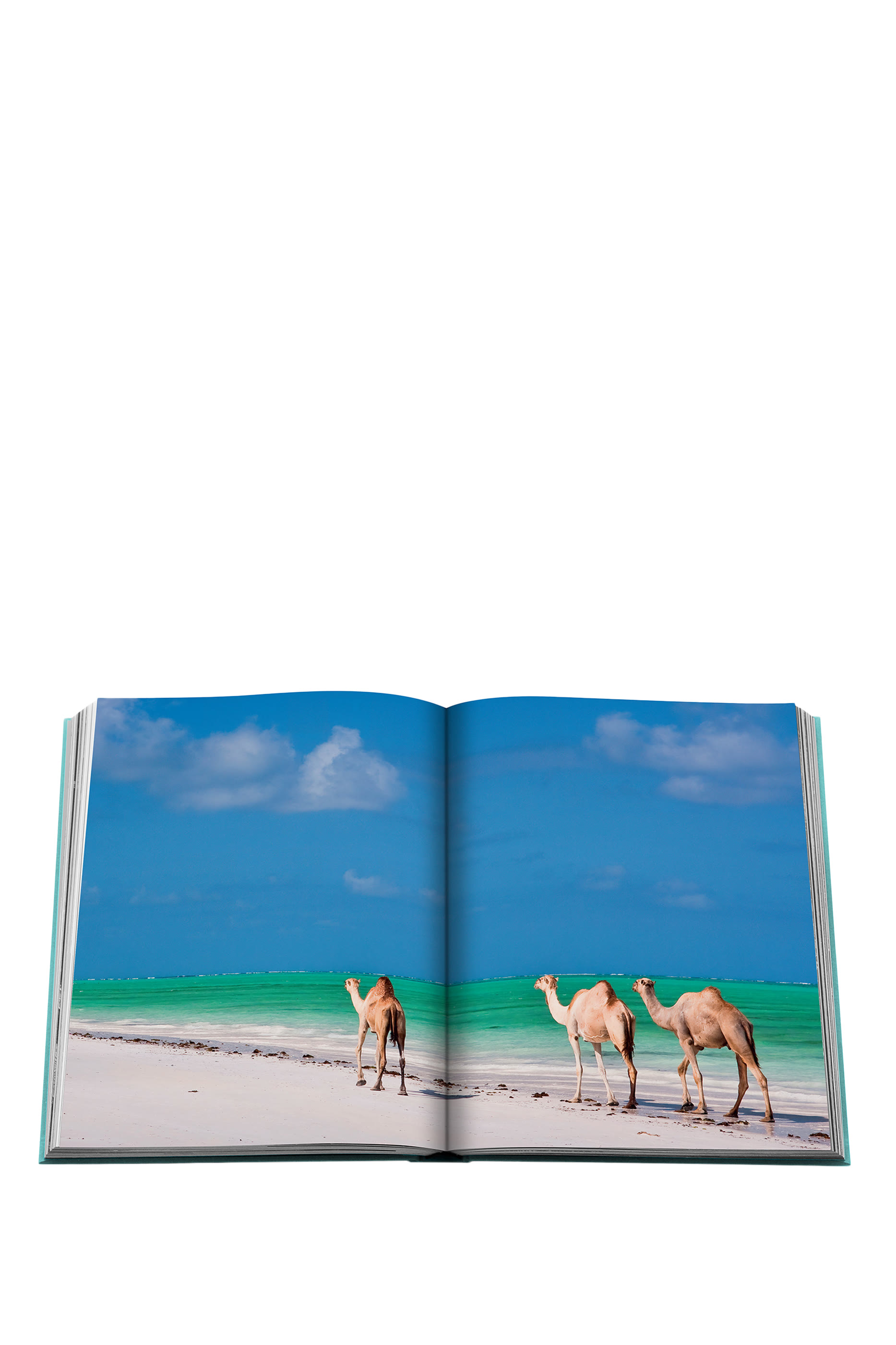 كتاب ساودي أرابيا: ريد سي، ذا ساودي كوست