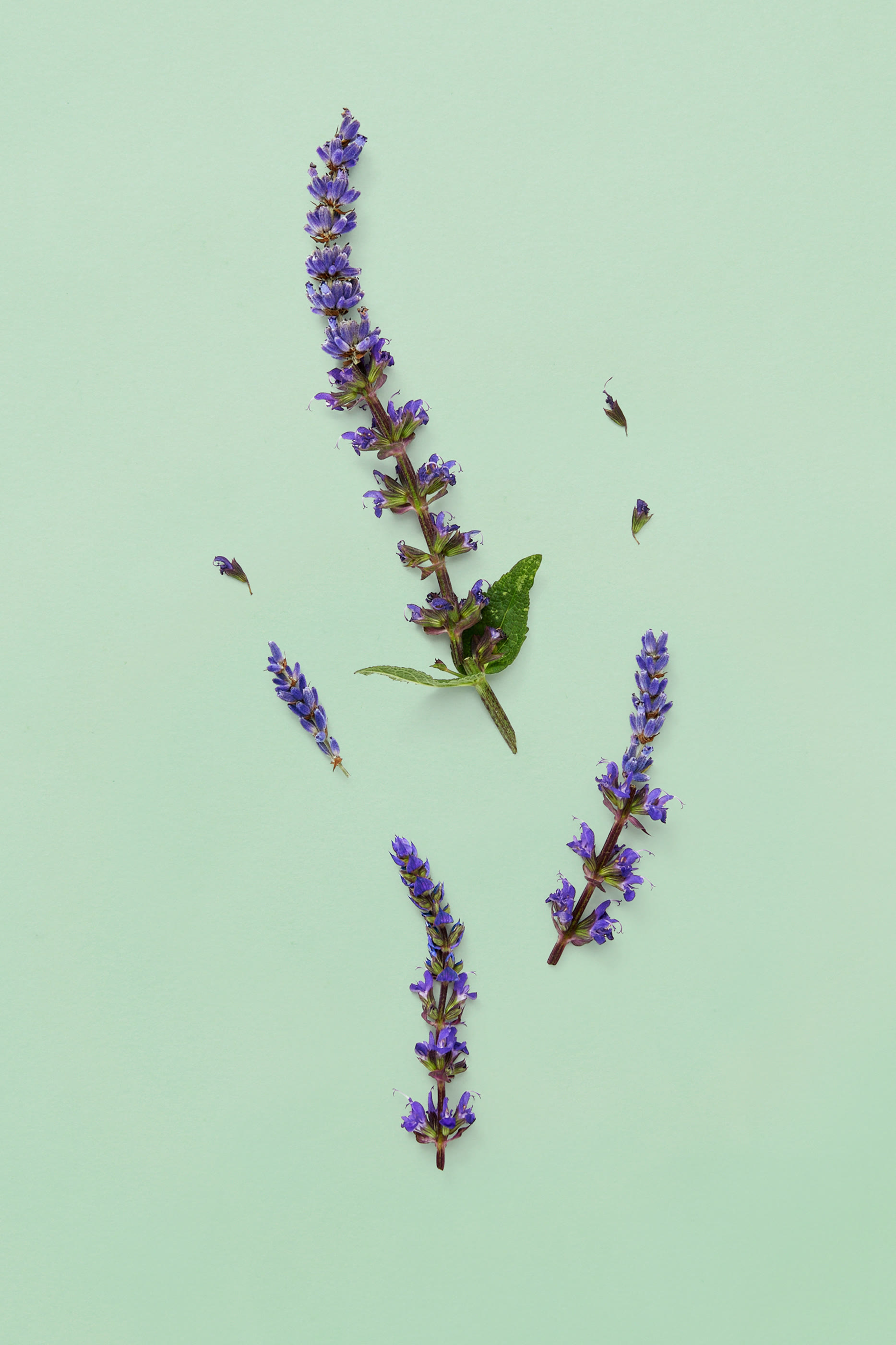 أو دو بارفان غوتشي جيلتي للرجال 
