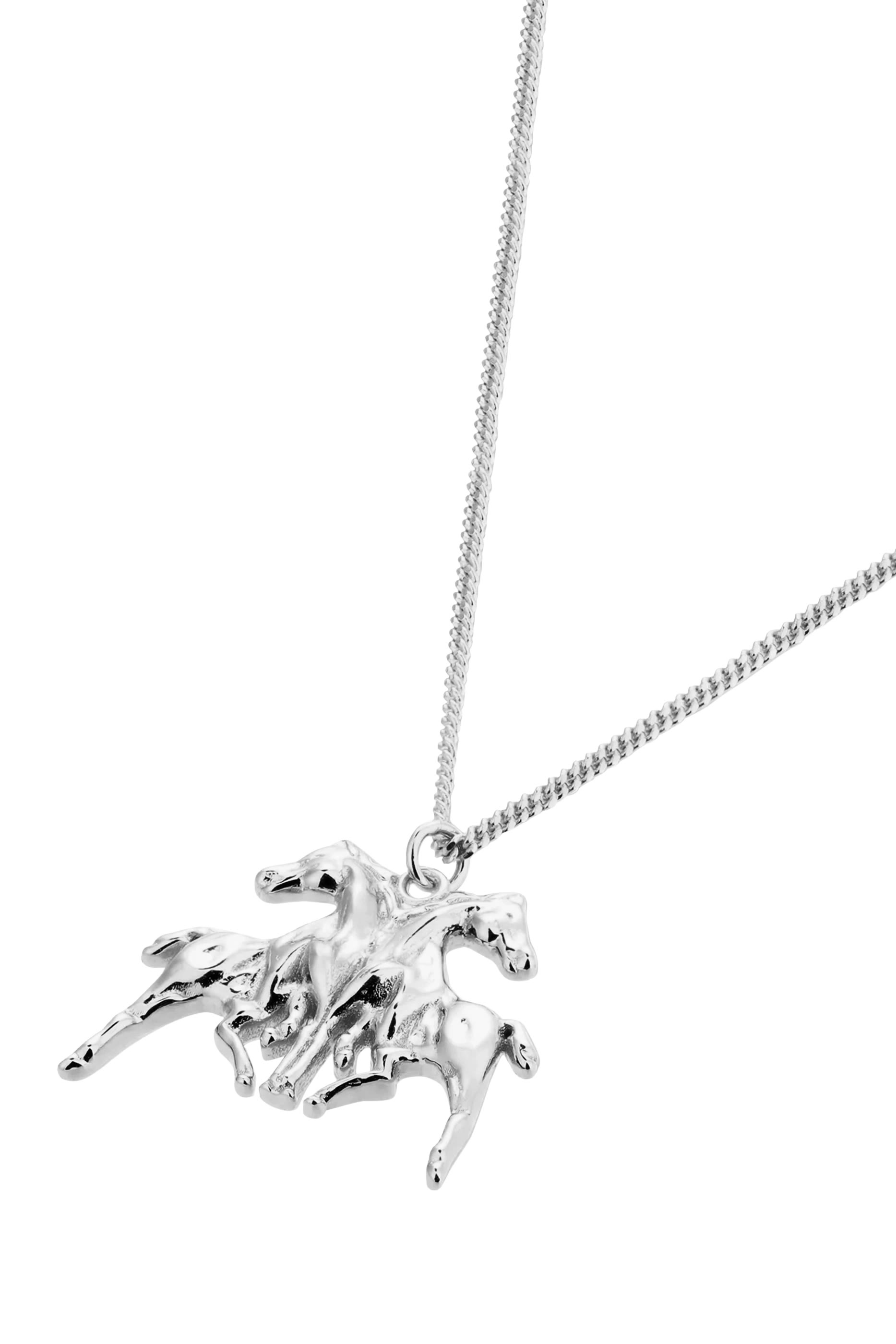 قلادة رايد اور داي 2.0