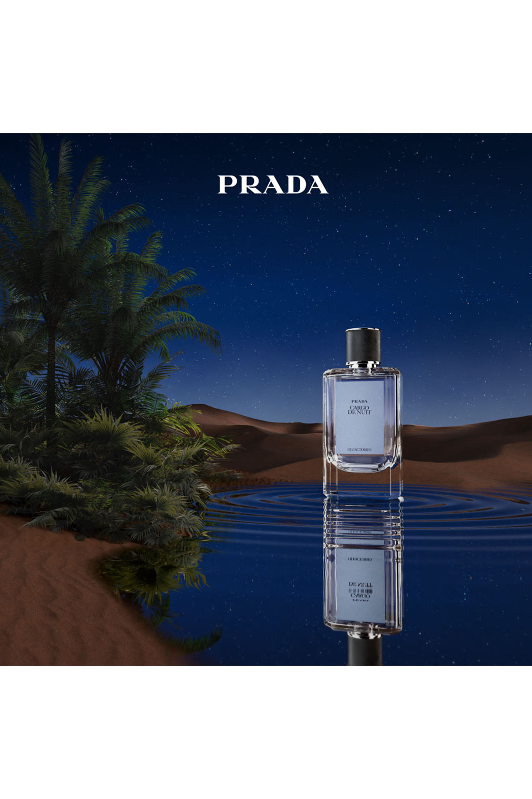 مجموعة هدايا كارغو دو نوي أولفاكتوريس