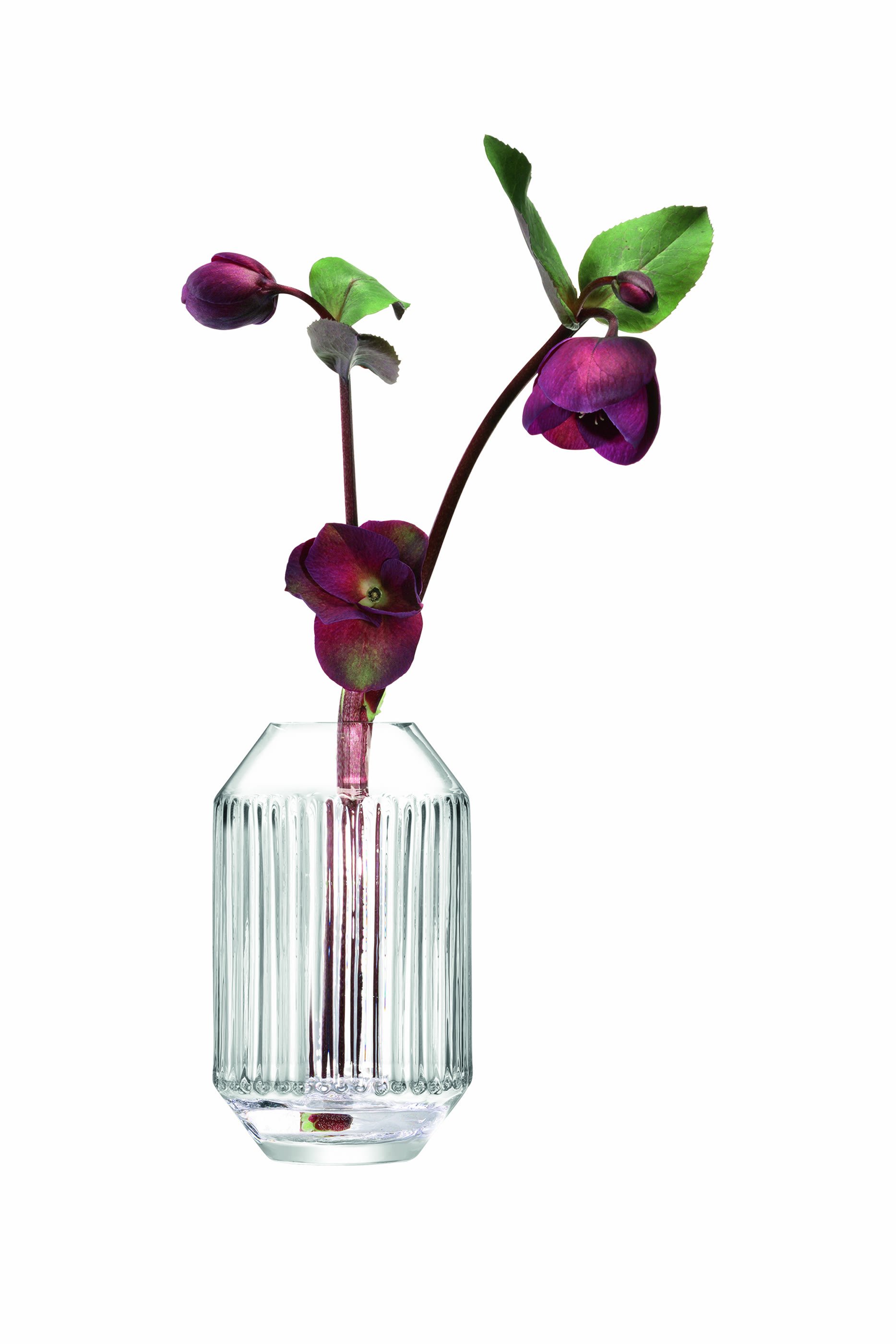 مزهرية روتوندا