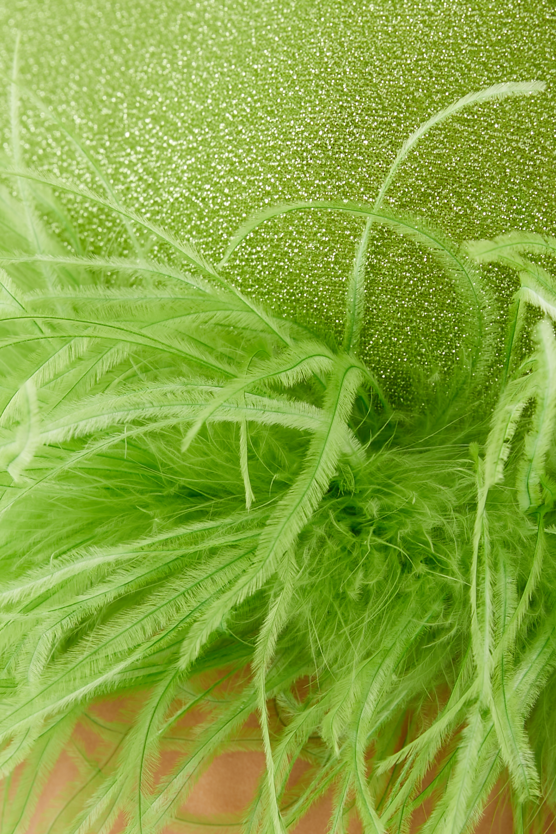 بلوزة لوميير بريش