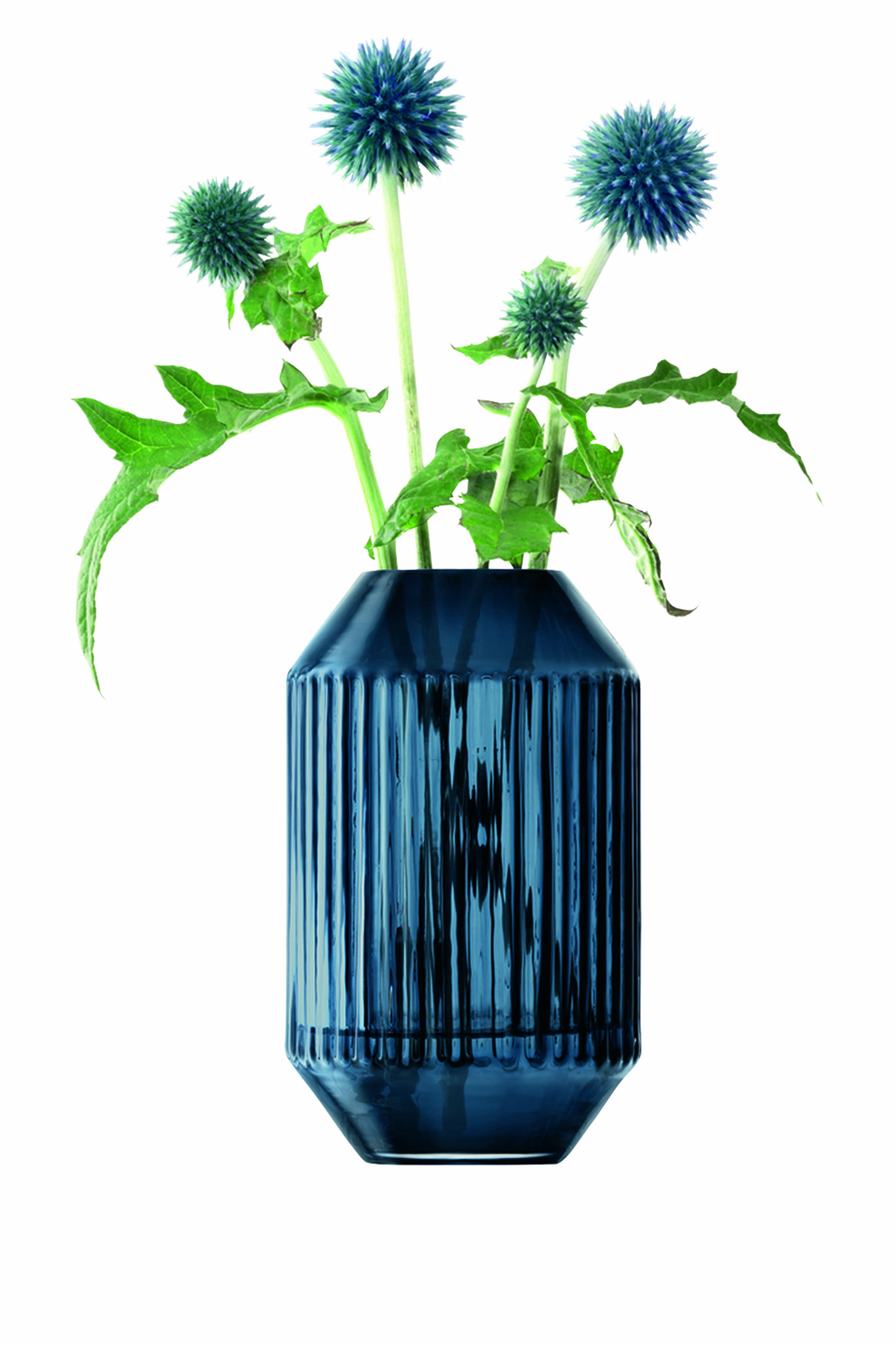 مزهرية روتوندا 15 سم