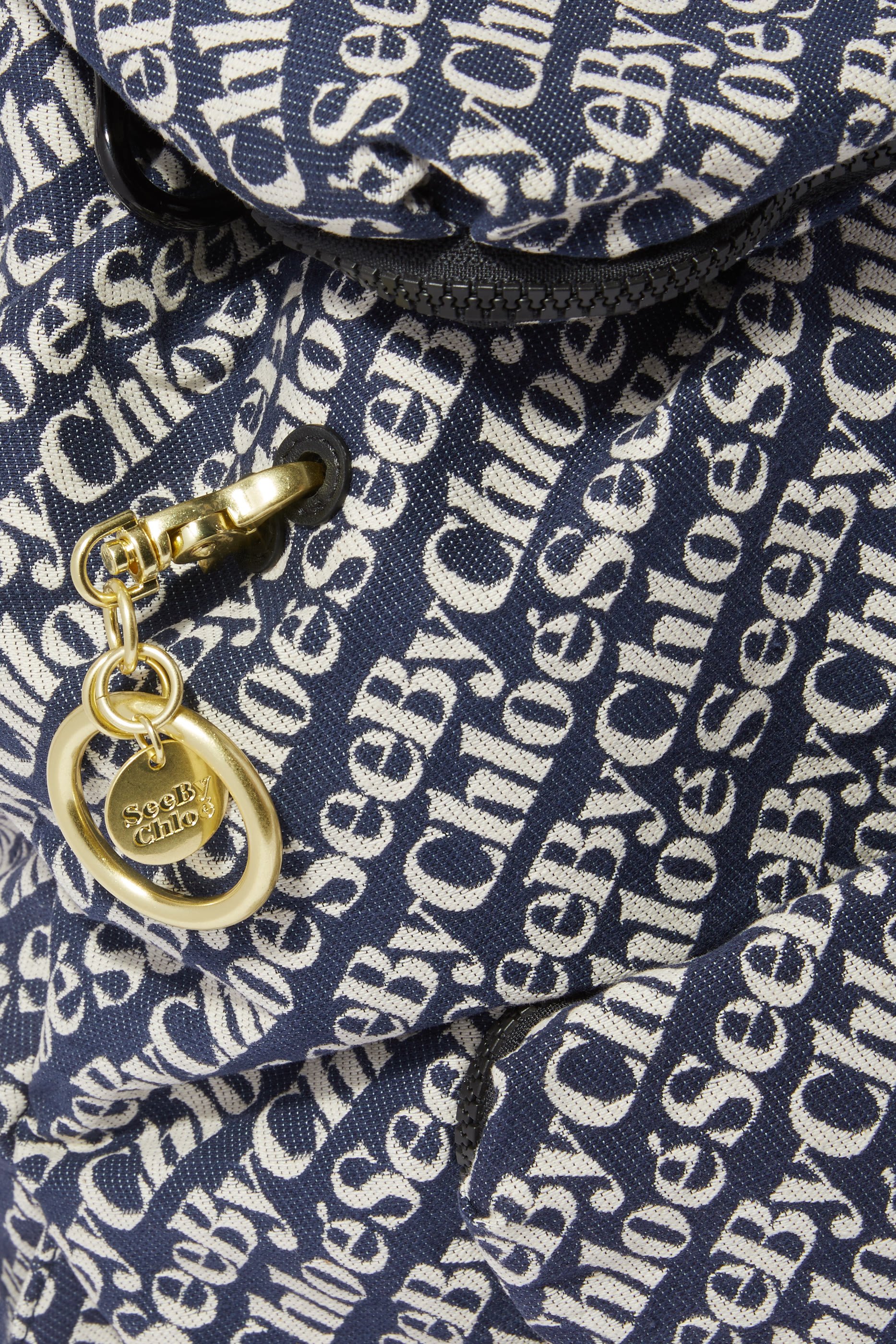 حقيبة ظهر جوي ريدر جاكار