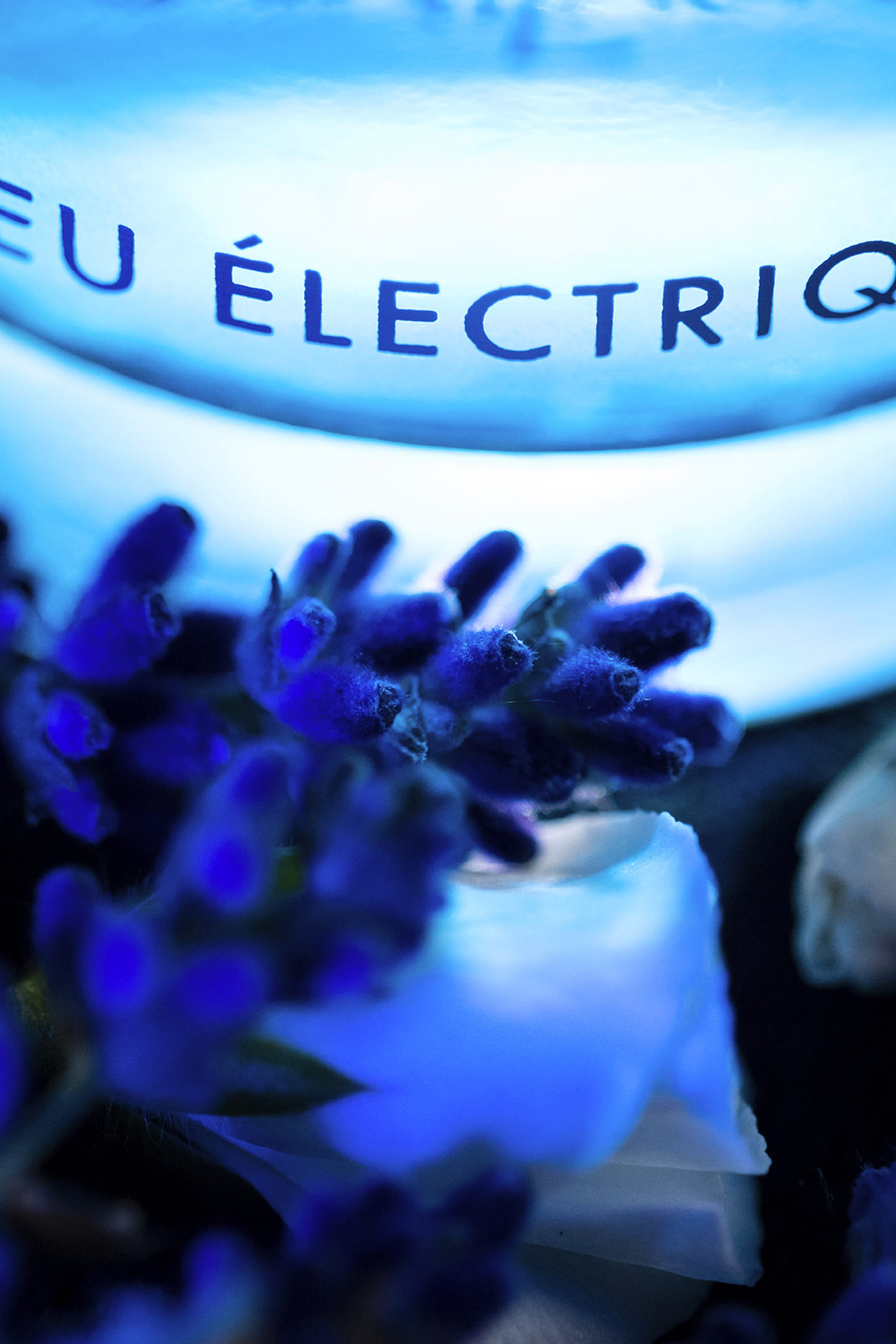 ماء تواليت لا نوي دي لوم بلو إلكتريك