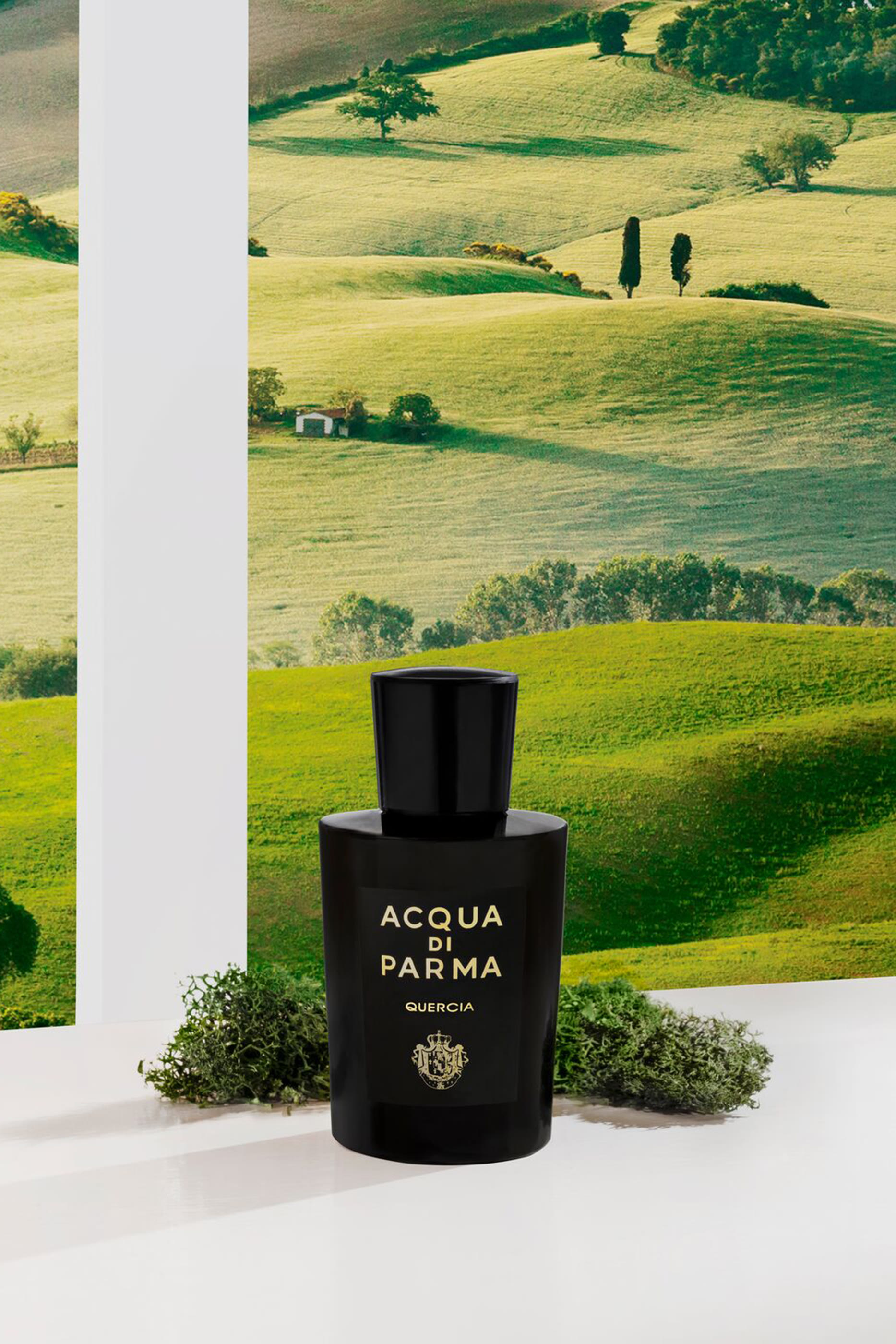 ماء عطر كورسيا