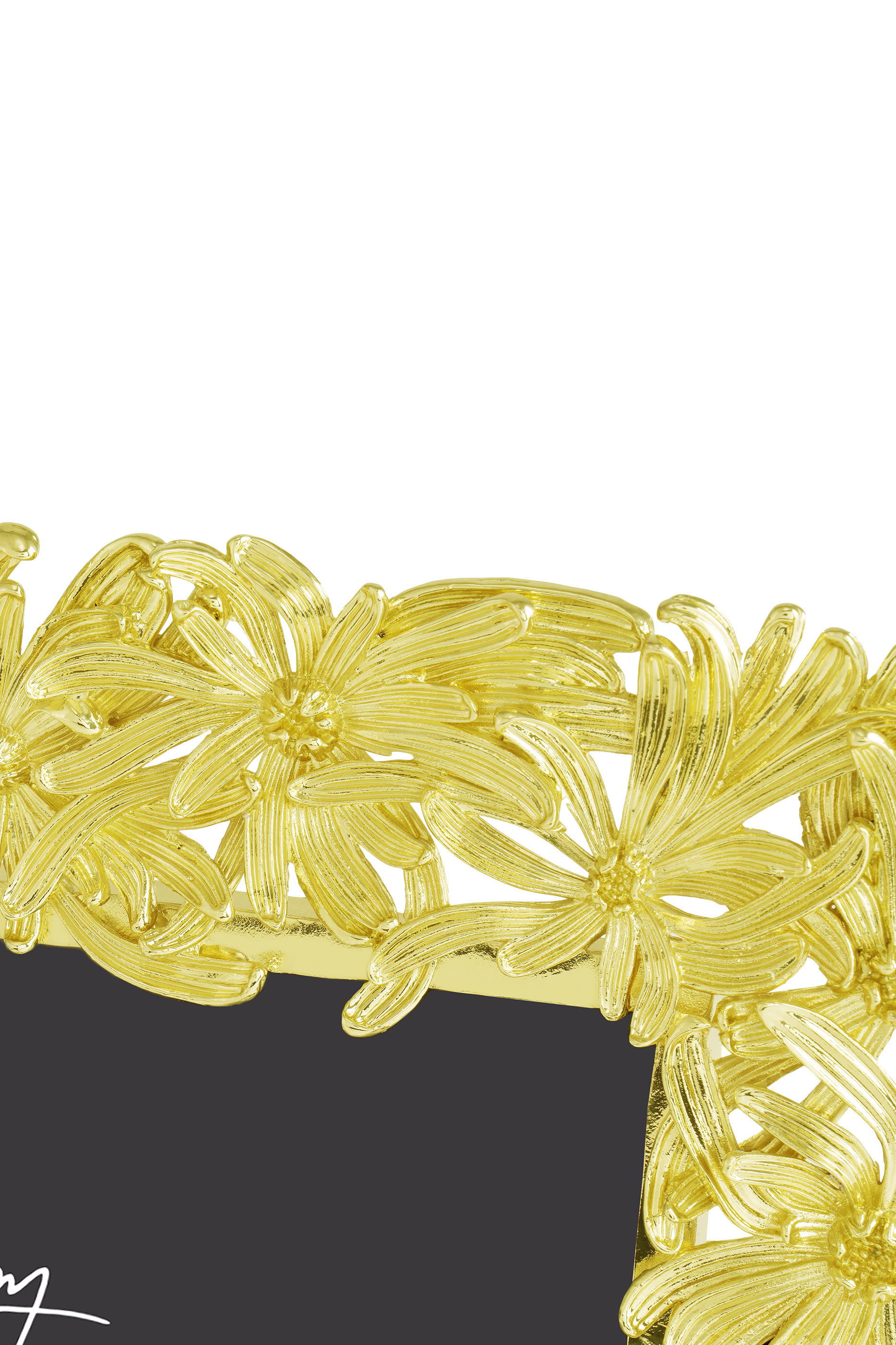 إطار صور بزهور الدهلية