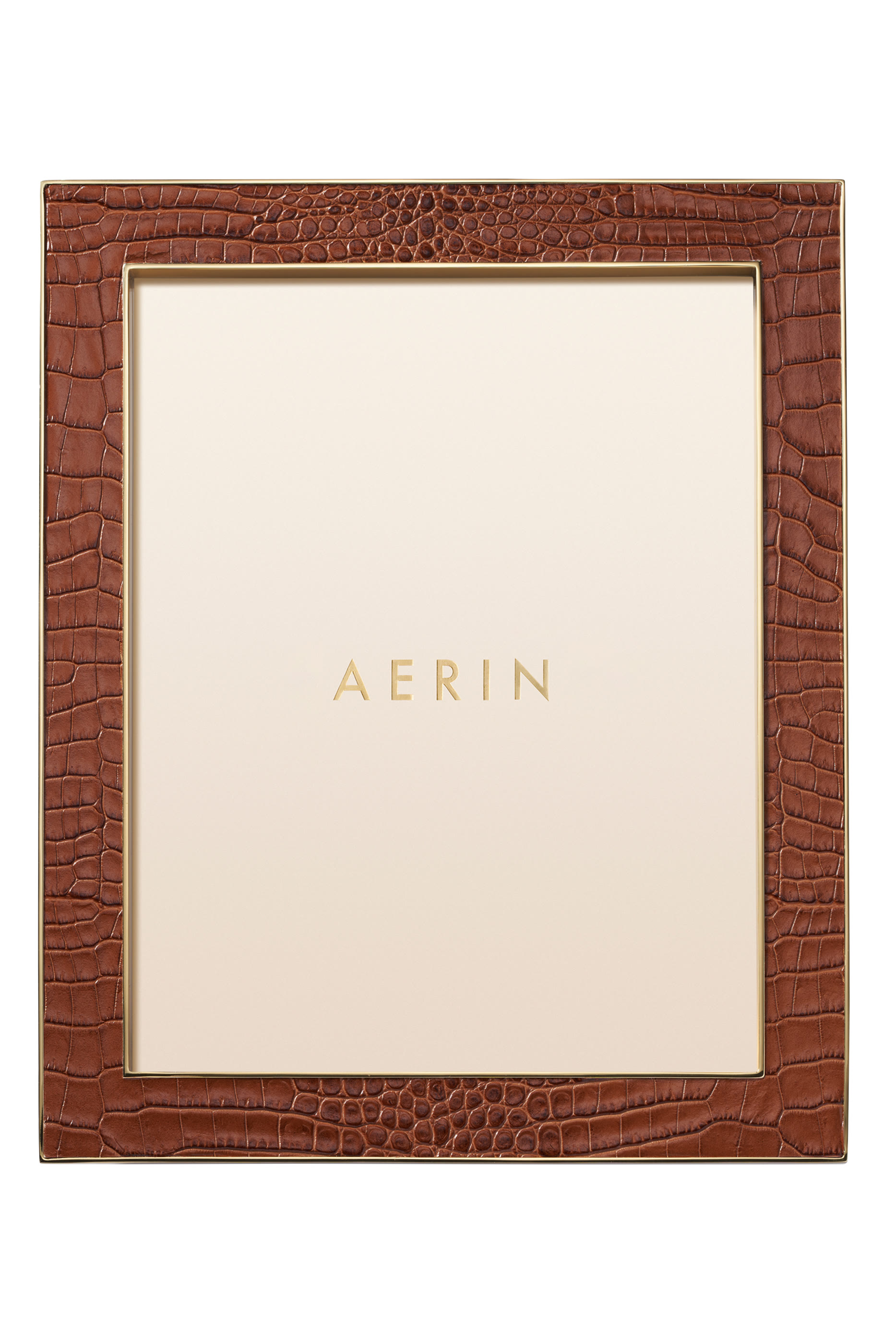 إطار صور كلاسيك جلد بنقشة جلد تمساح