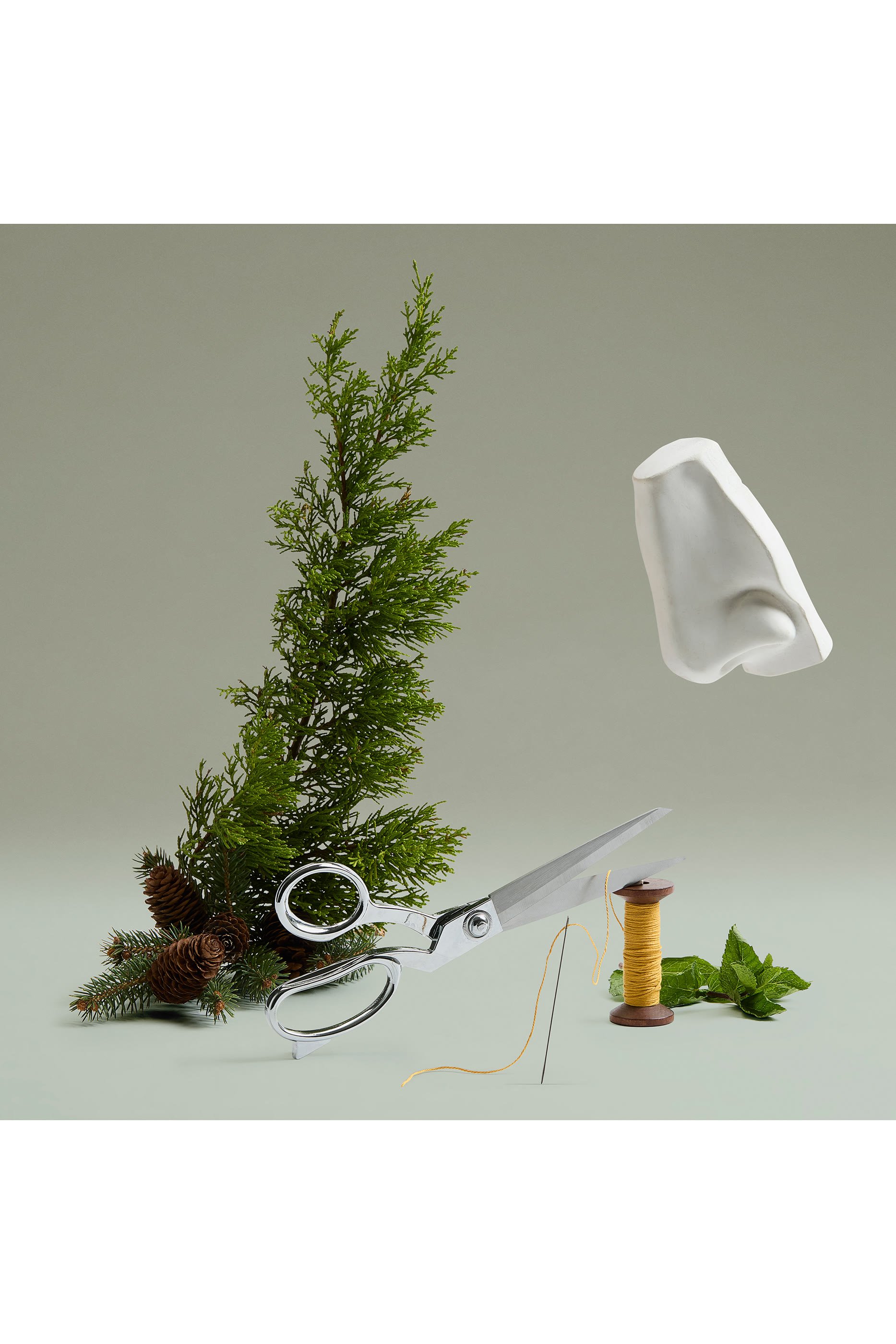 أو دو بارفان ذا كت