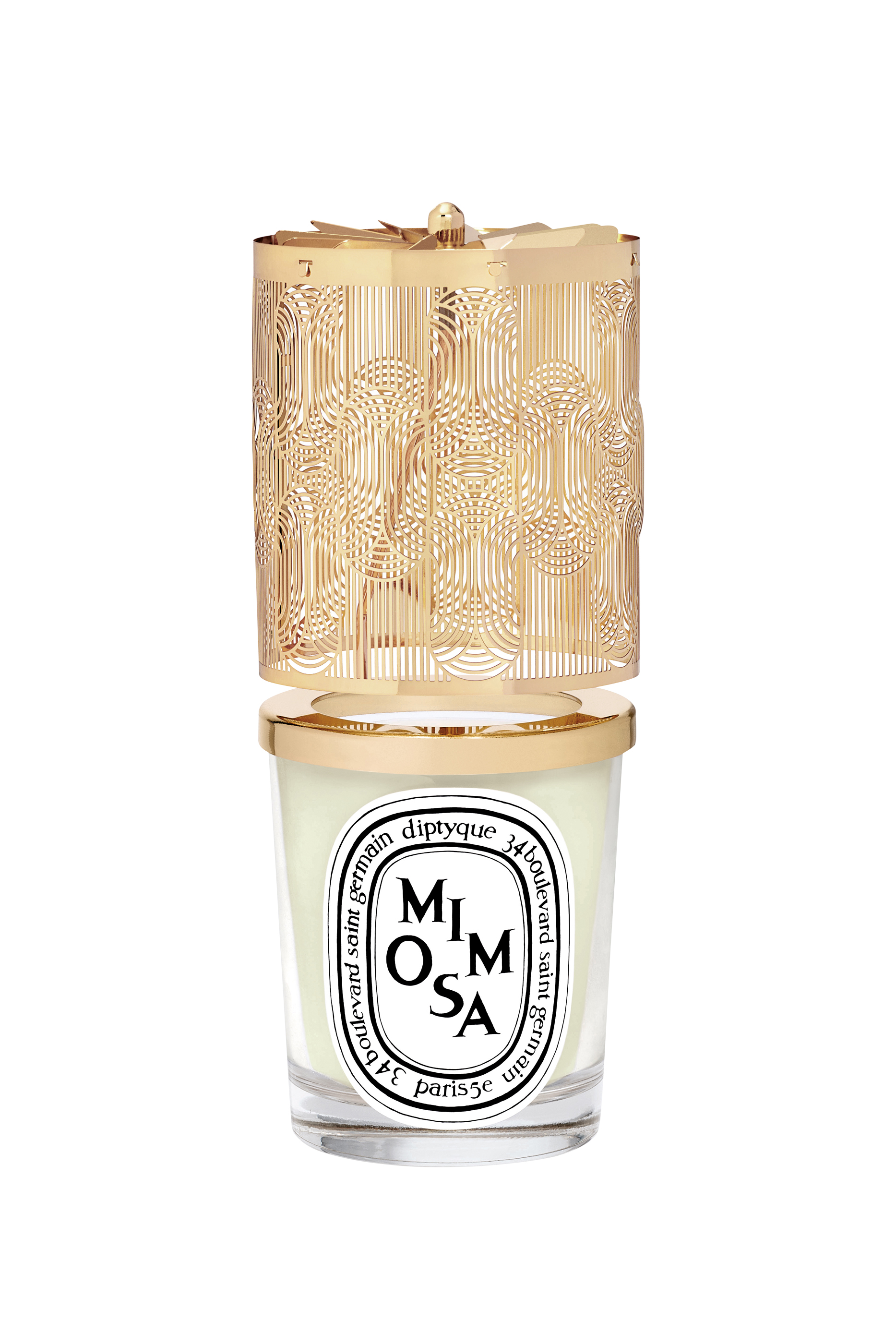 شمعة ميموزا في فانوس