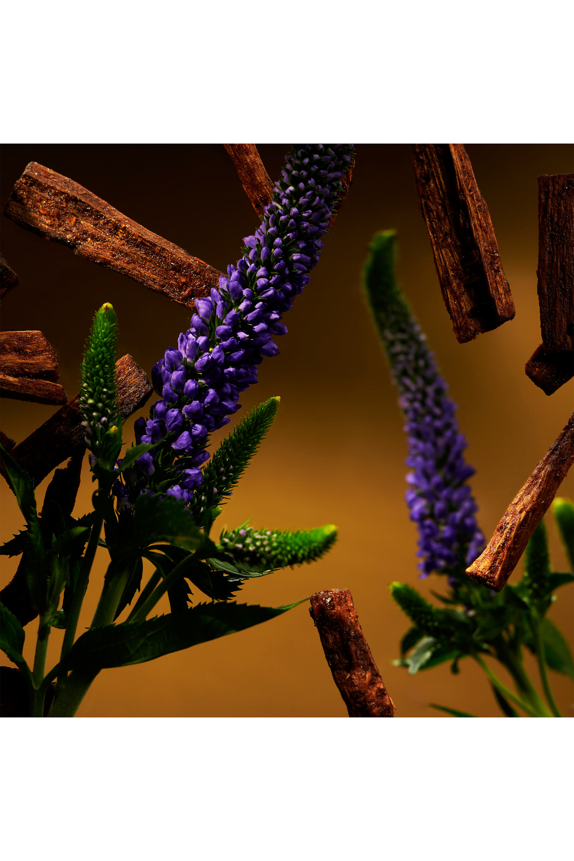 مجموعة هدية ذا ريتوال اوف عود مقاس كبير