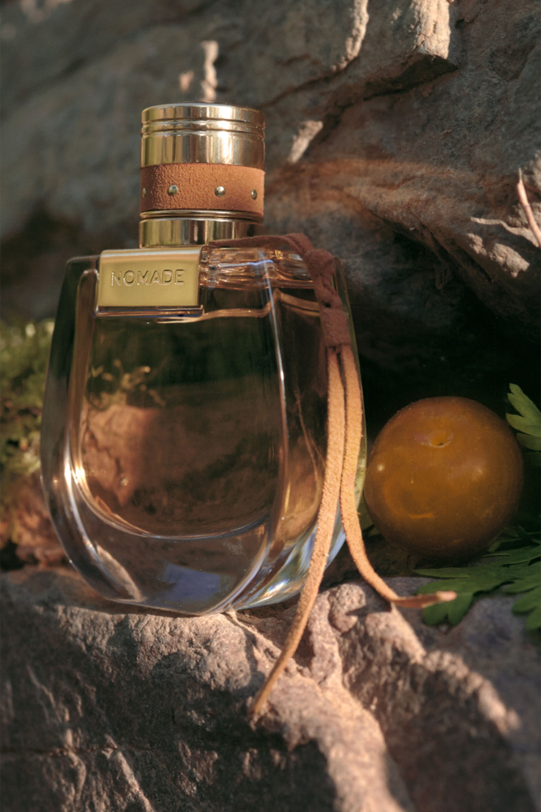 أو دو بارفان نوماد أبسولو