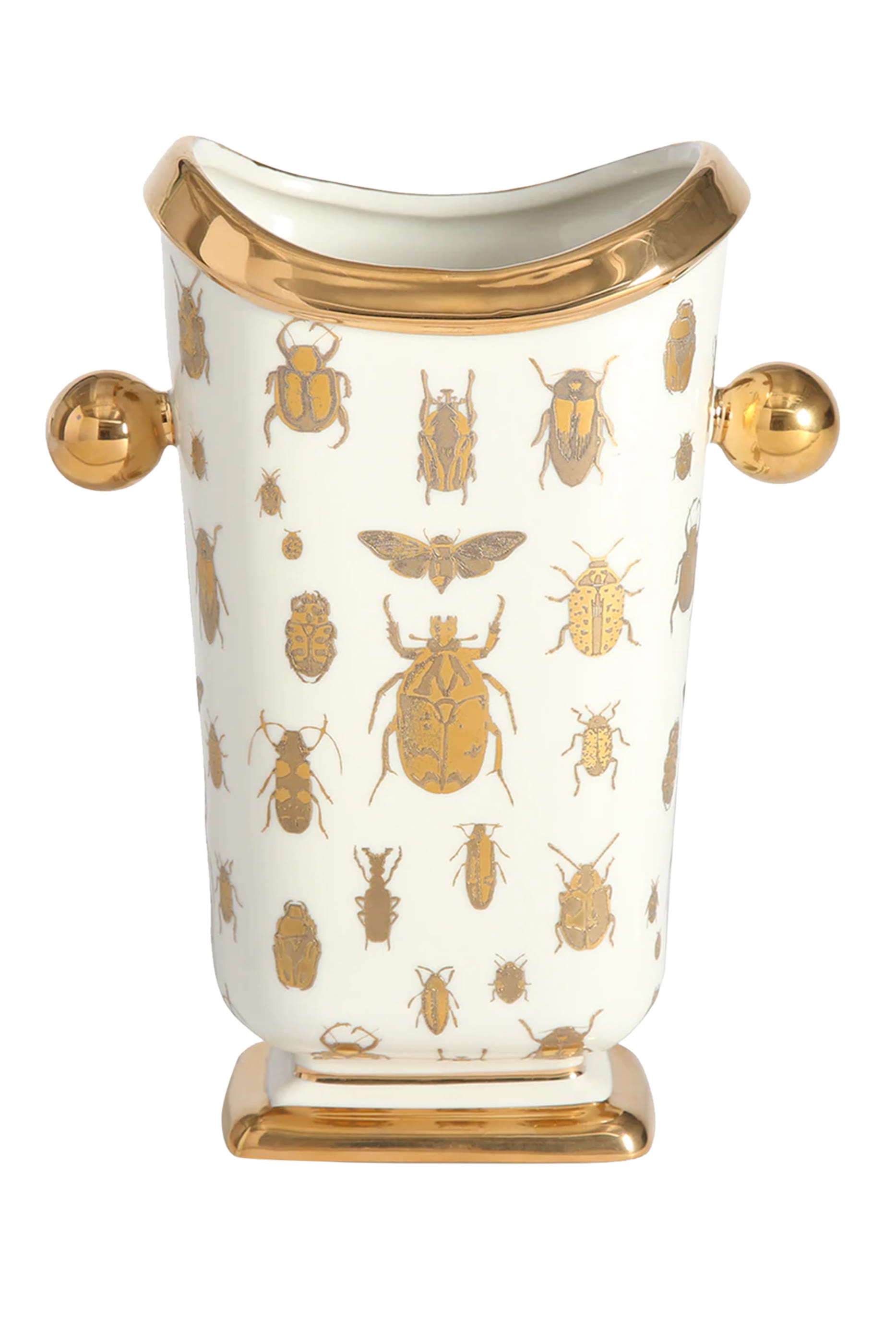 مزهرية بوتانيست سبيسيمان