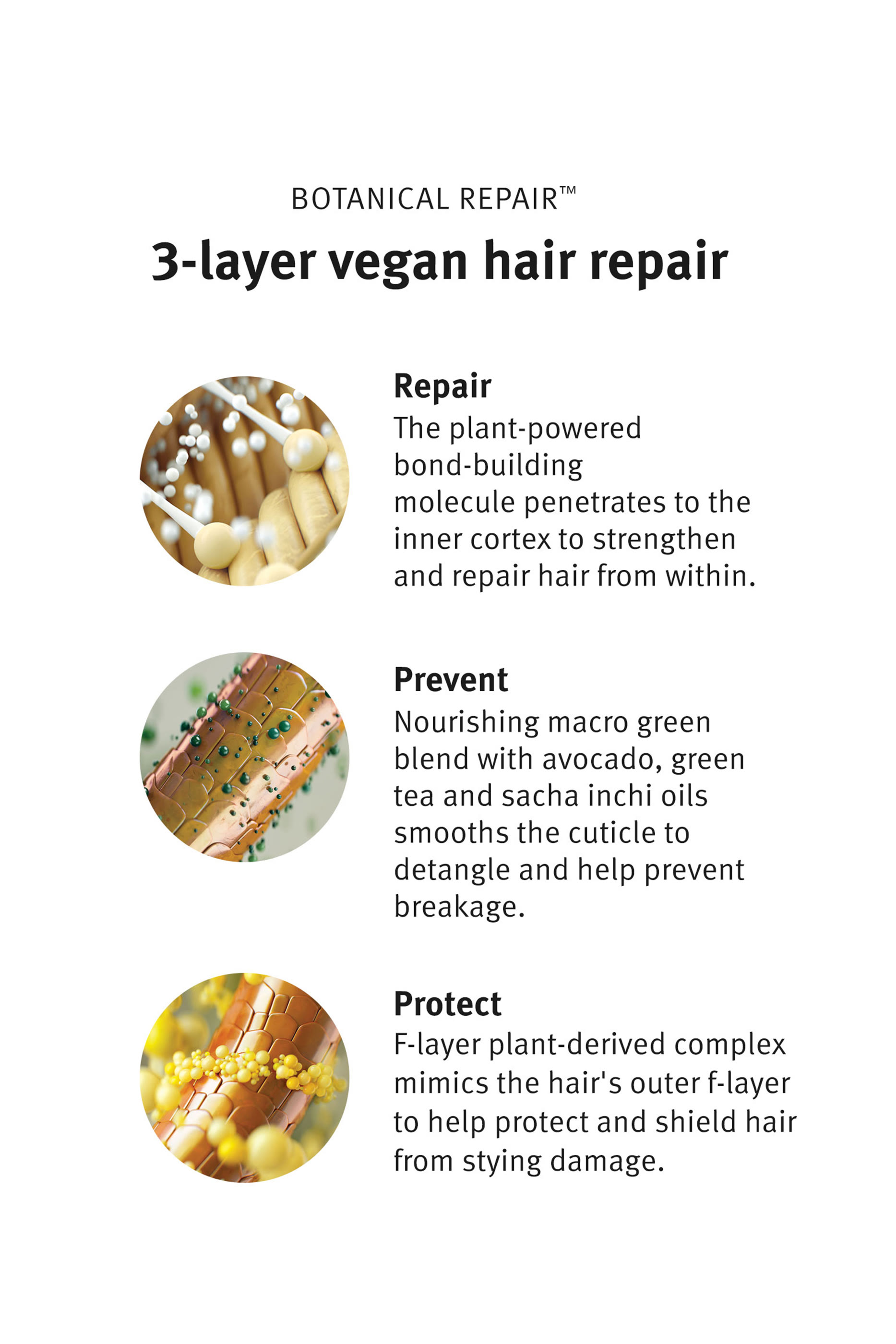 مجموعة هدايا أساسية بوتانيكال ريبير لتقوية الشعر
