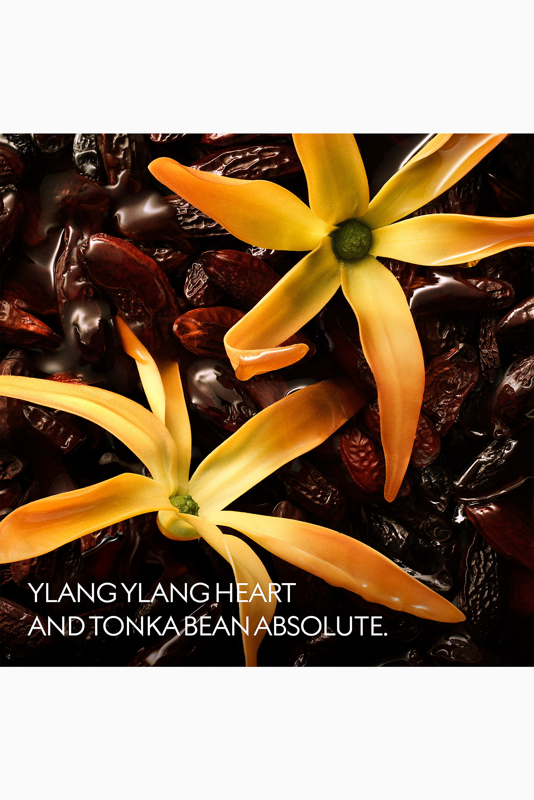 أو دو بارفان ذا ألكيميست جاردن يلانج أمبراتو