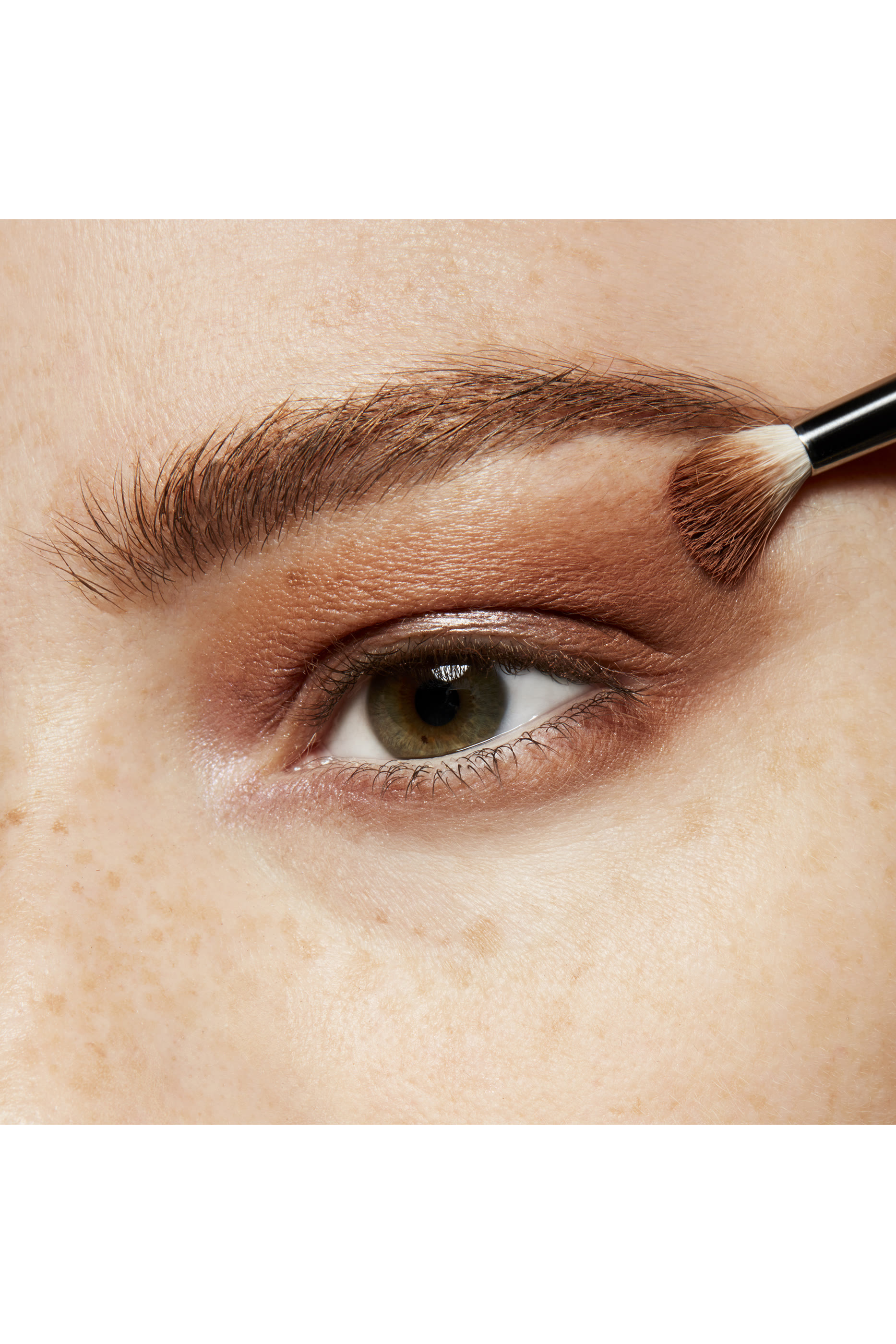 ظل عيون صغير درجة إسبريسو