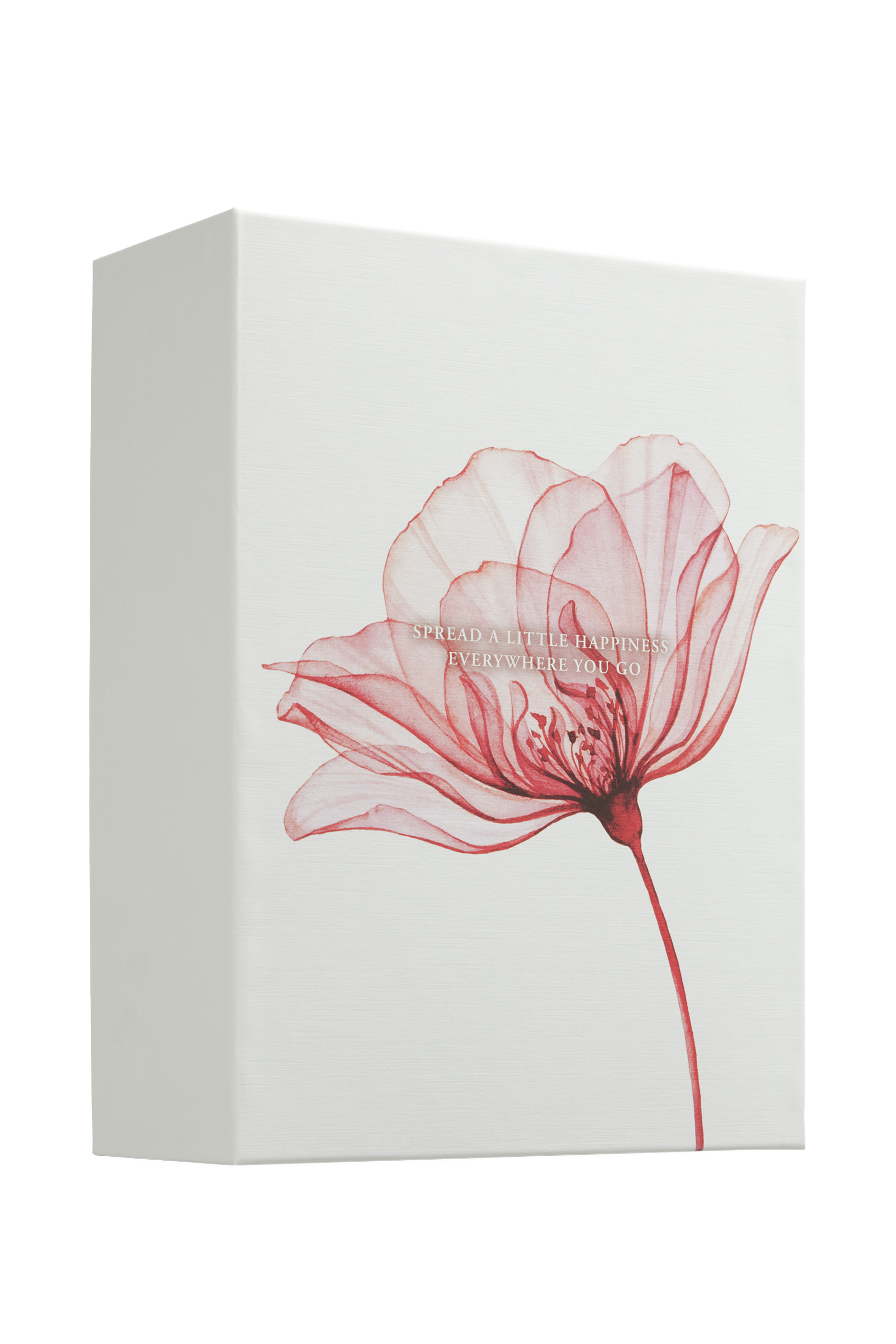 مجموعة هدايا ذا ريتوالز اوف ايورفيدا بحجم كبير