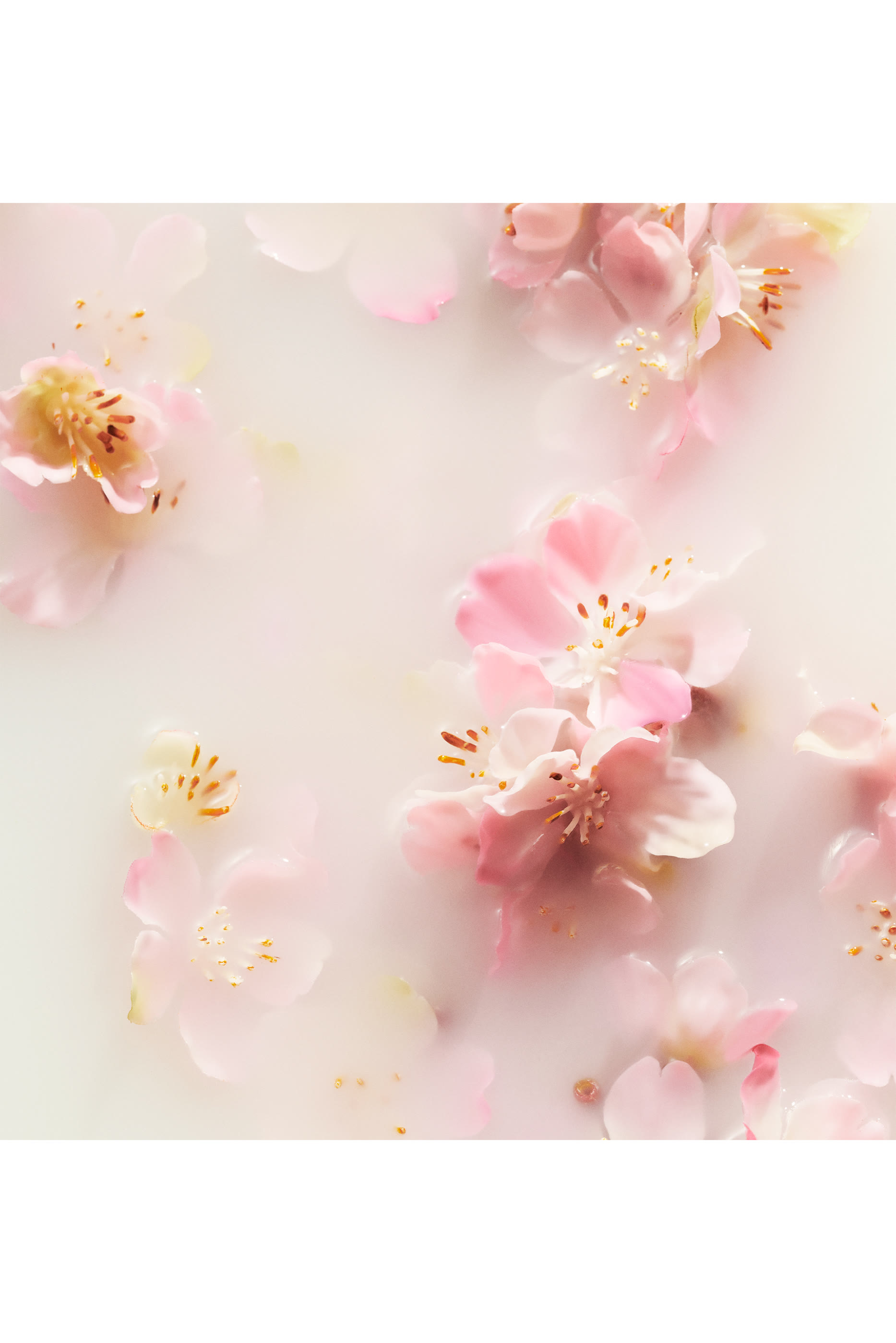 شمعة معطرة ذا ريتوال اوف ساكورا معطرة