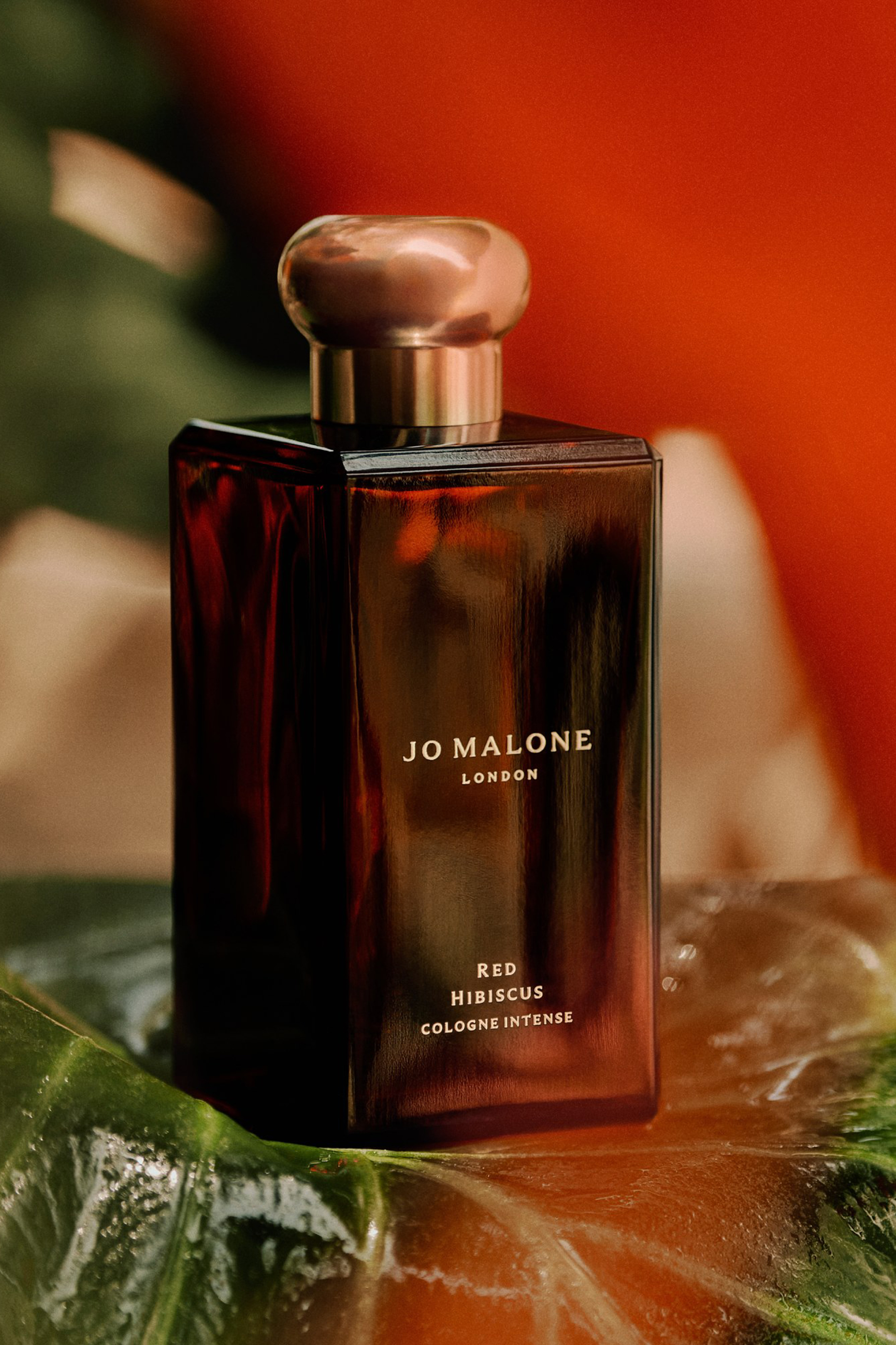 كولونيا مركز ريد هايبسكيس