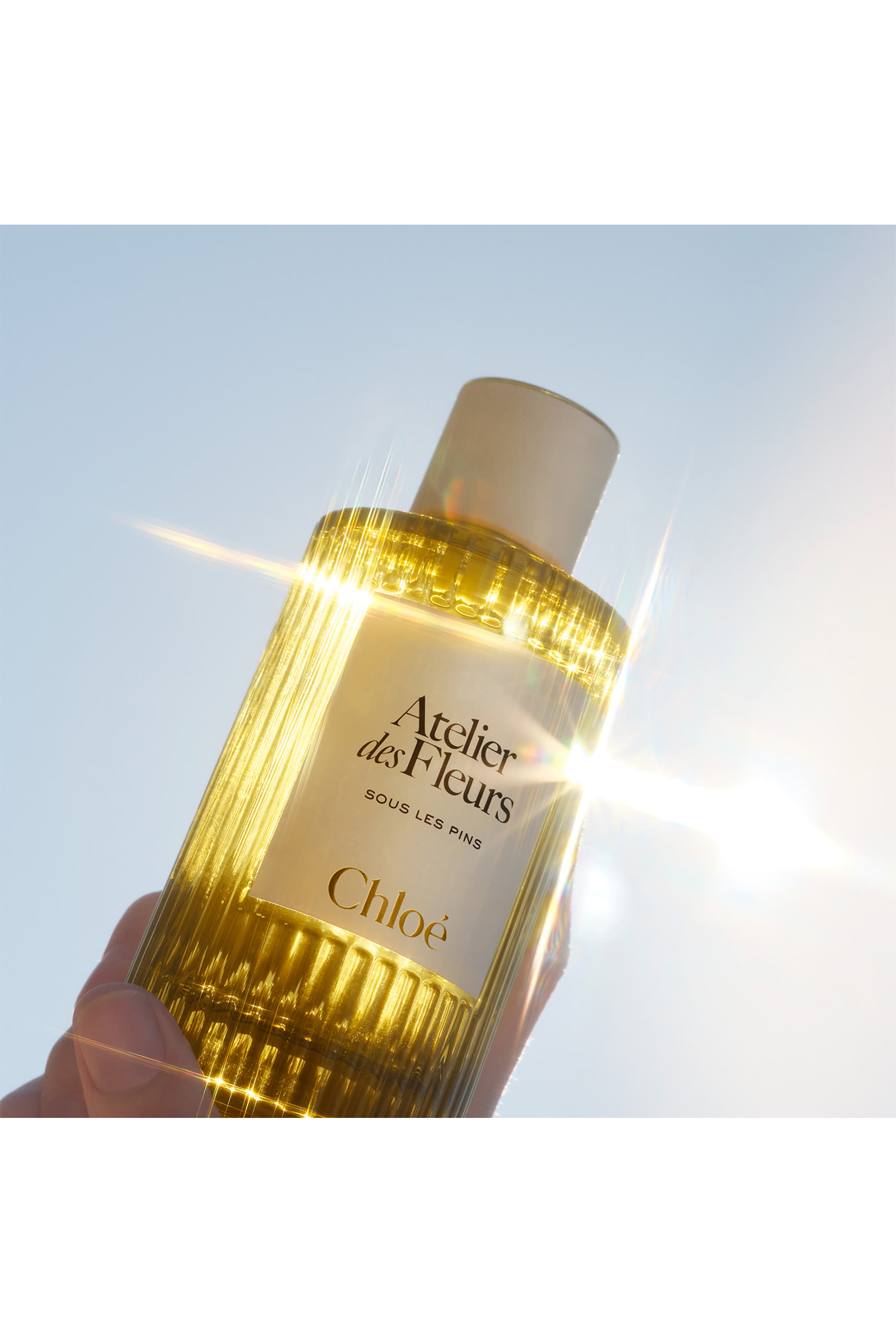 أو دو بارفان اتولييه دي فلور سو لي بينز