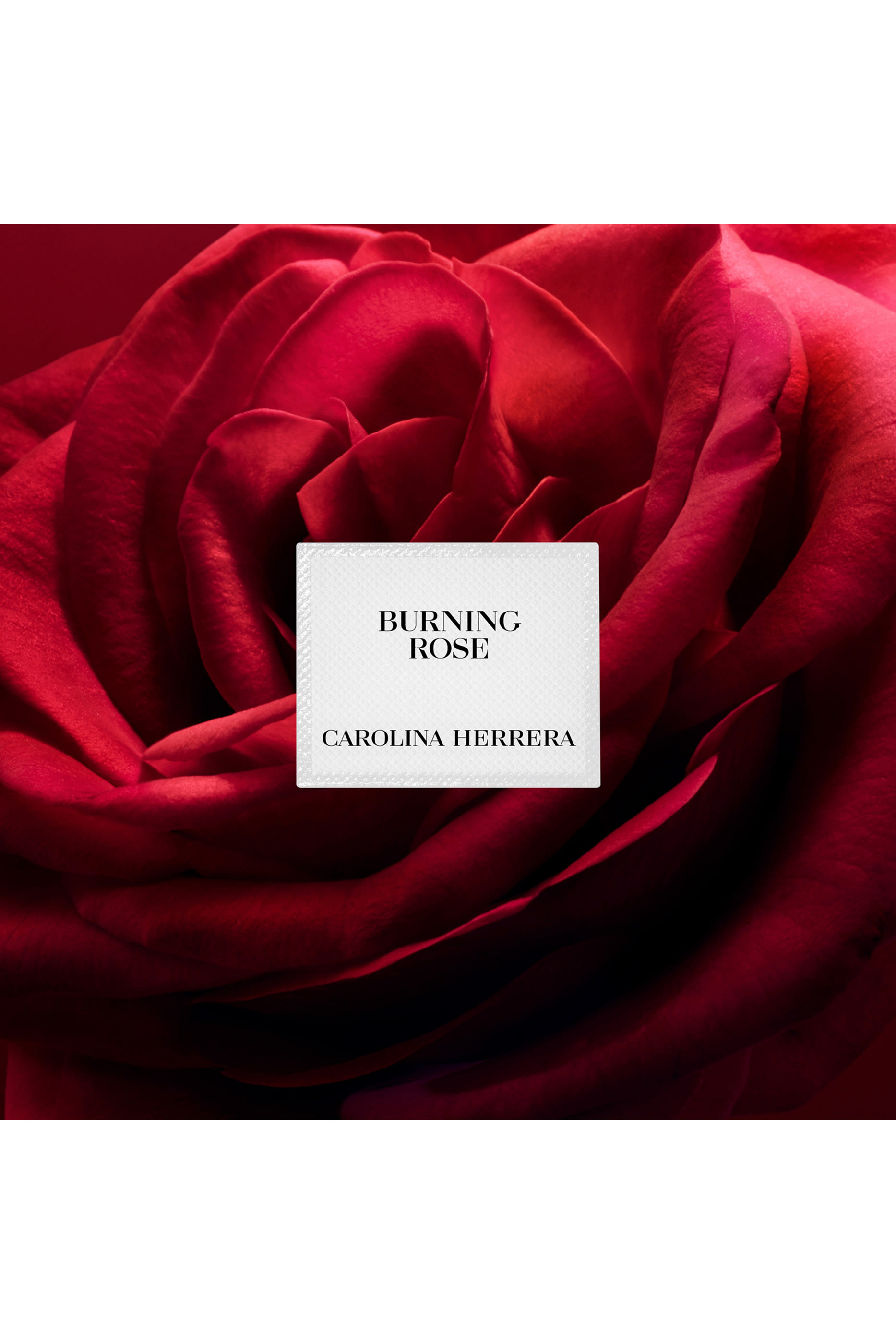  أو دو بارفان هيريرا كونفيدنشال بيرننغ روز