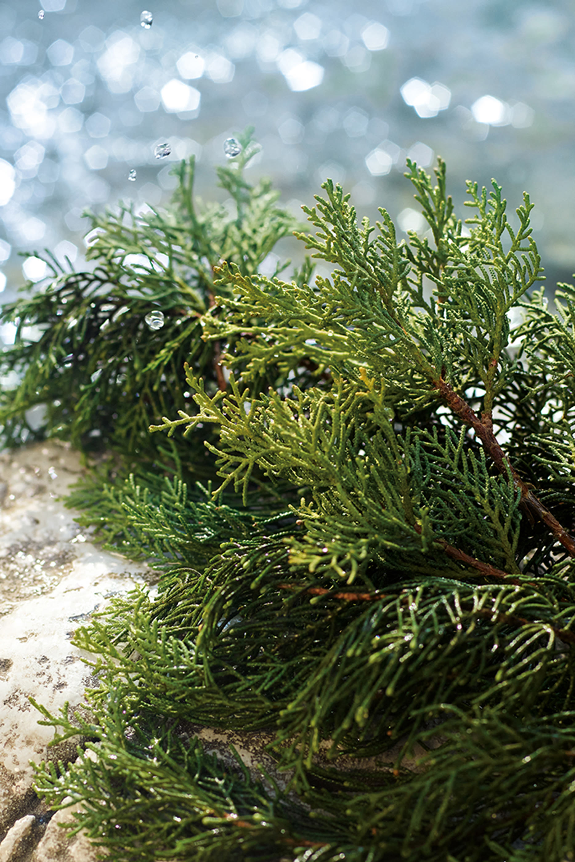 أو دو تواليت لايت بلو ساكر فايبز للرجال