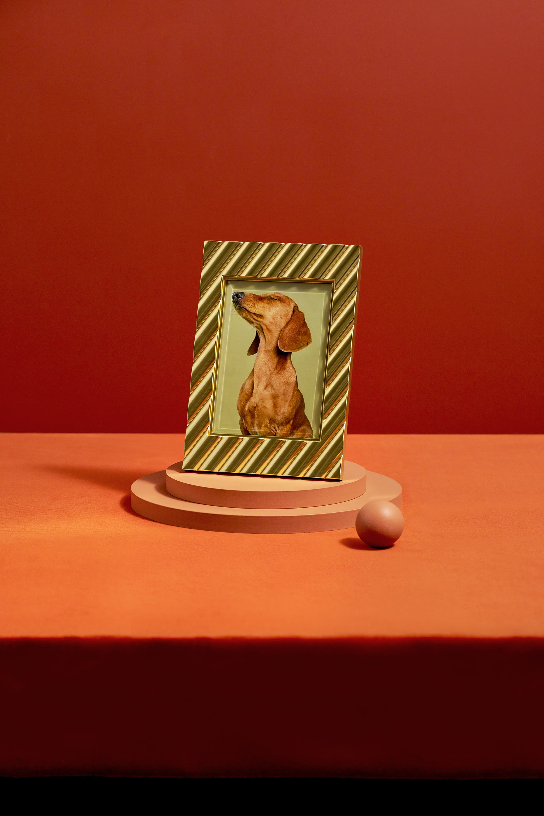 إطار صور ماكسيم - صغير