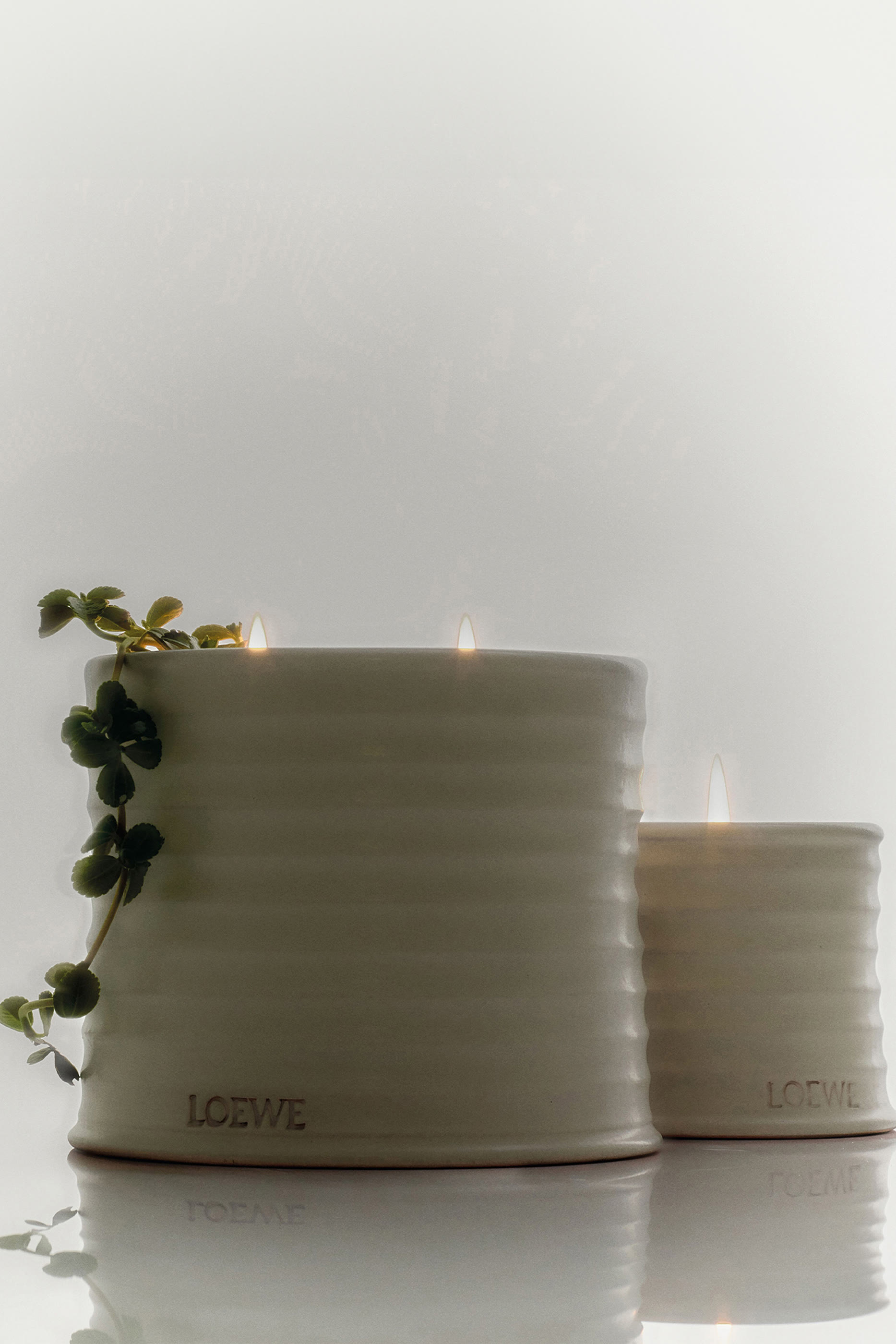 شمعة أوريجانو معطرة