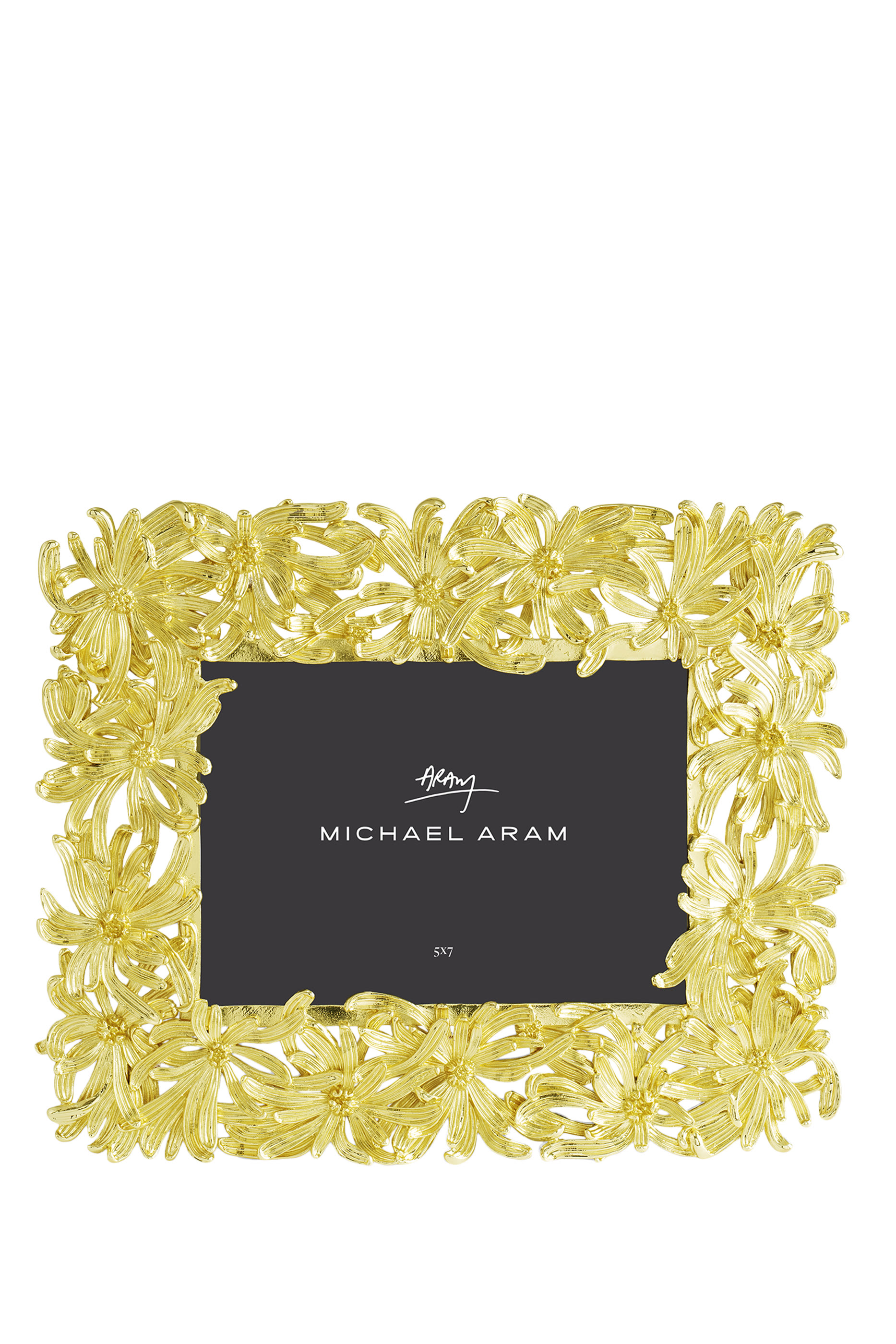 إطار صور بزهور الدهلية