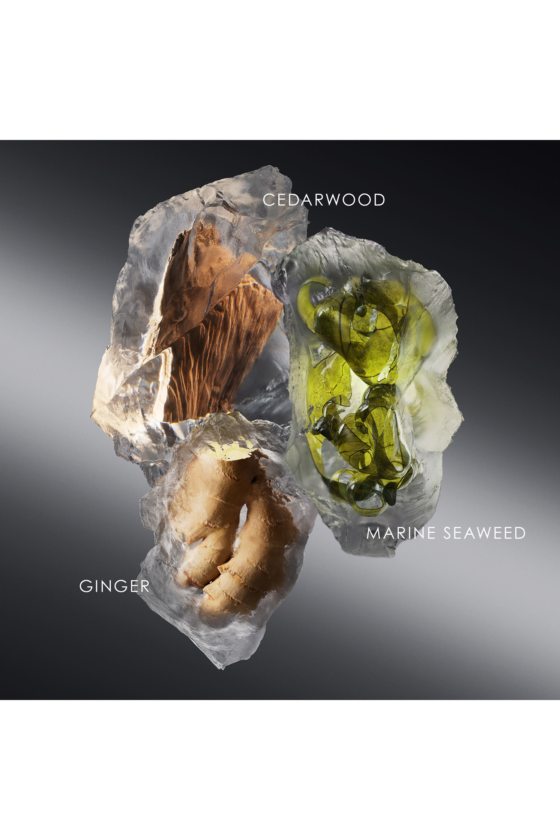 أو دو تواليت لو سيل ديسي