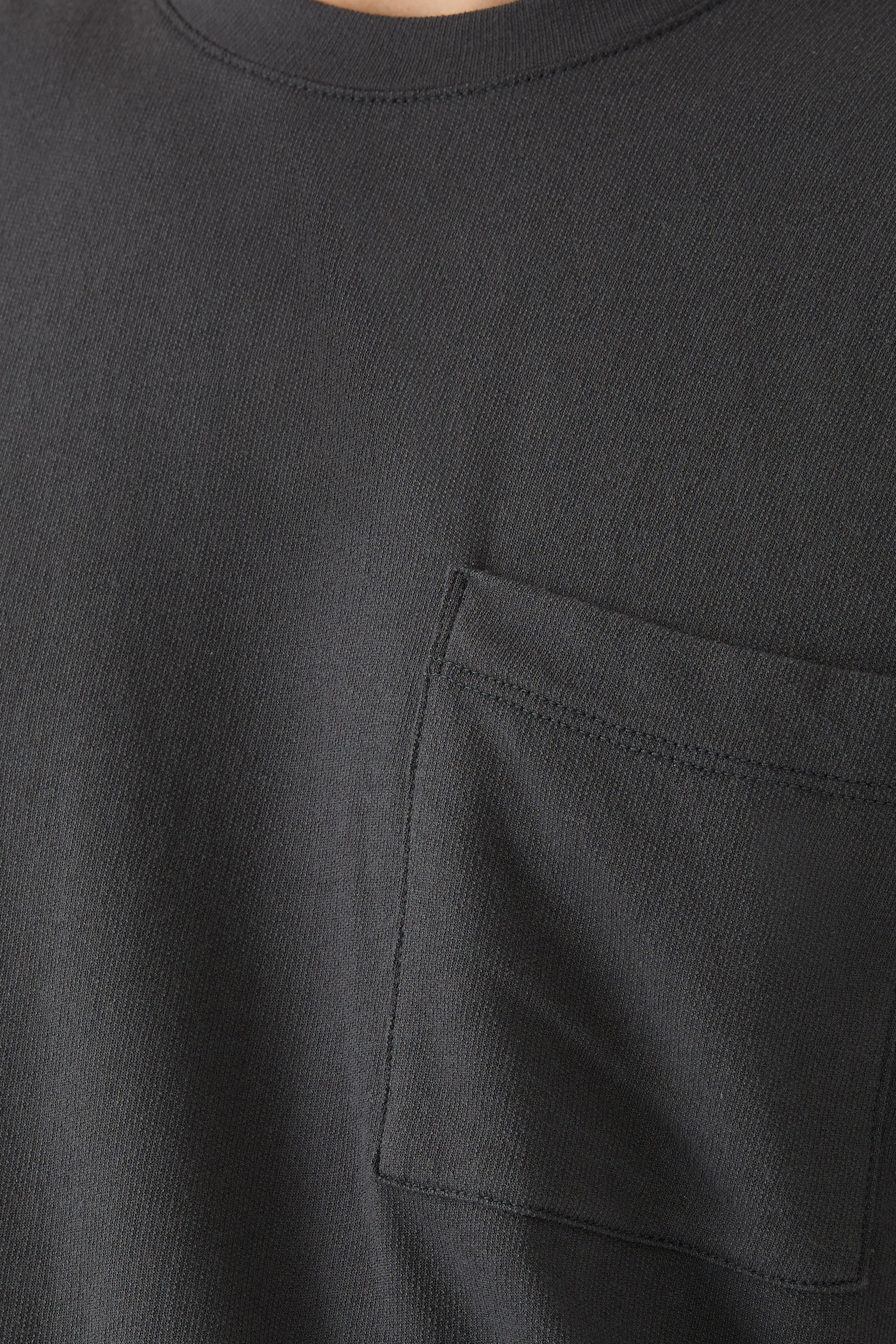 سويت شيرت بتطريز بتصميم شجر نخيل