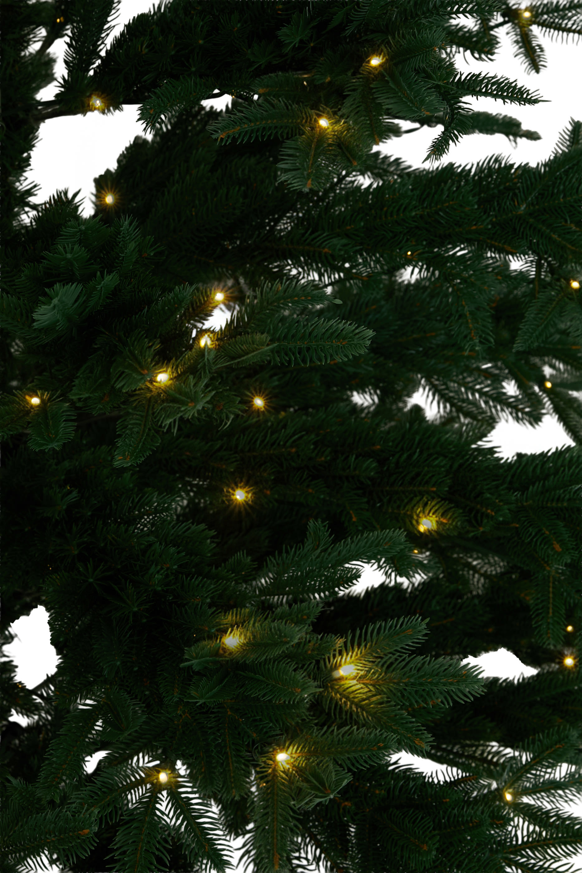 شجرة إليت بريميوم ليد