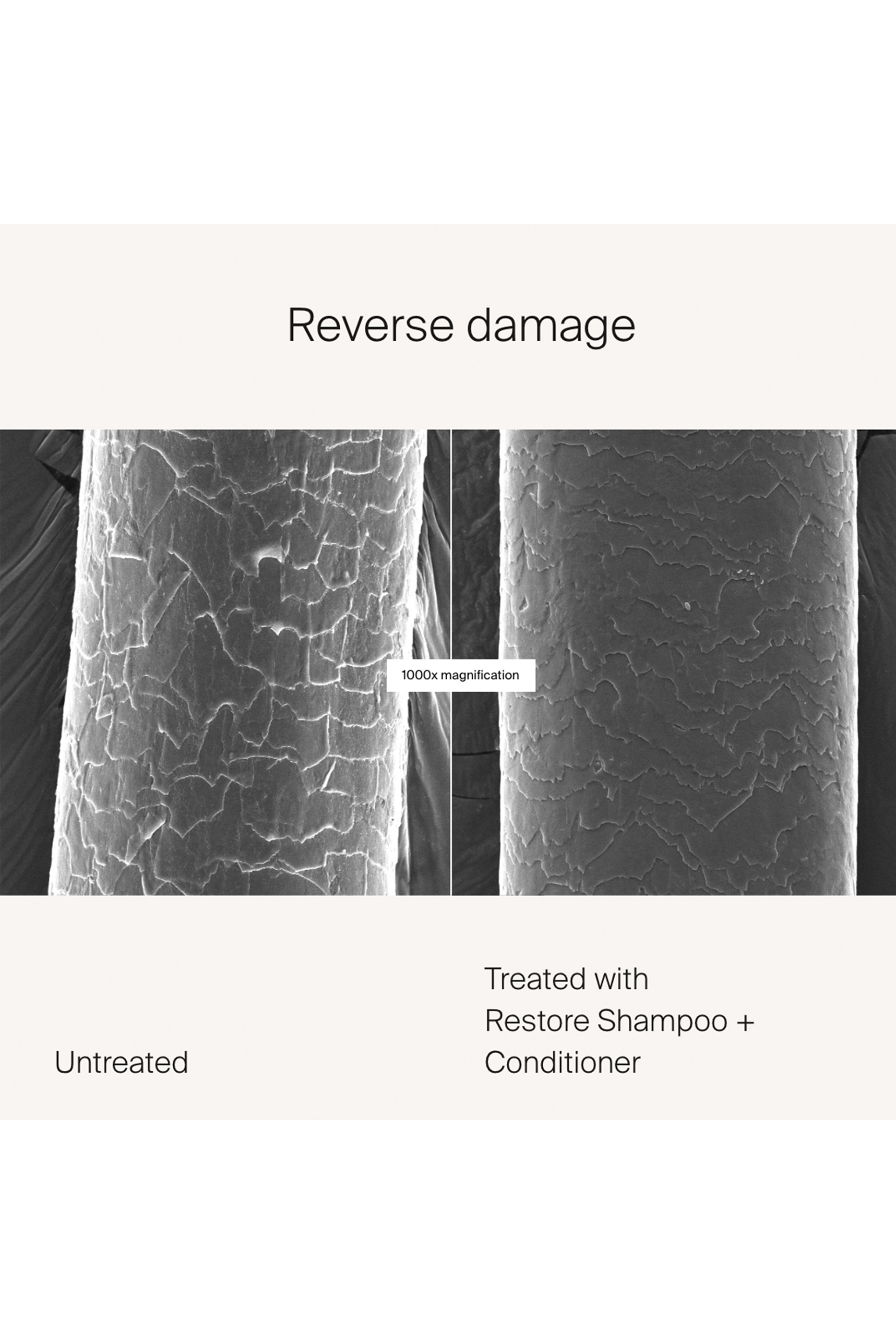 بلسم لإصلاح الشعر