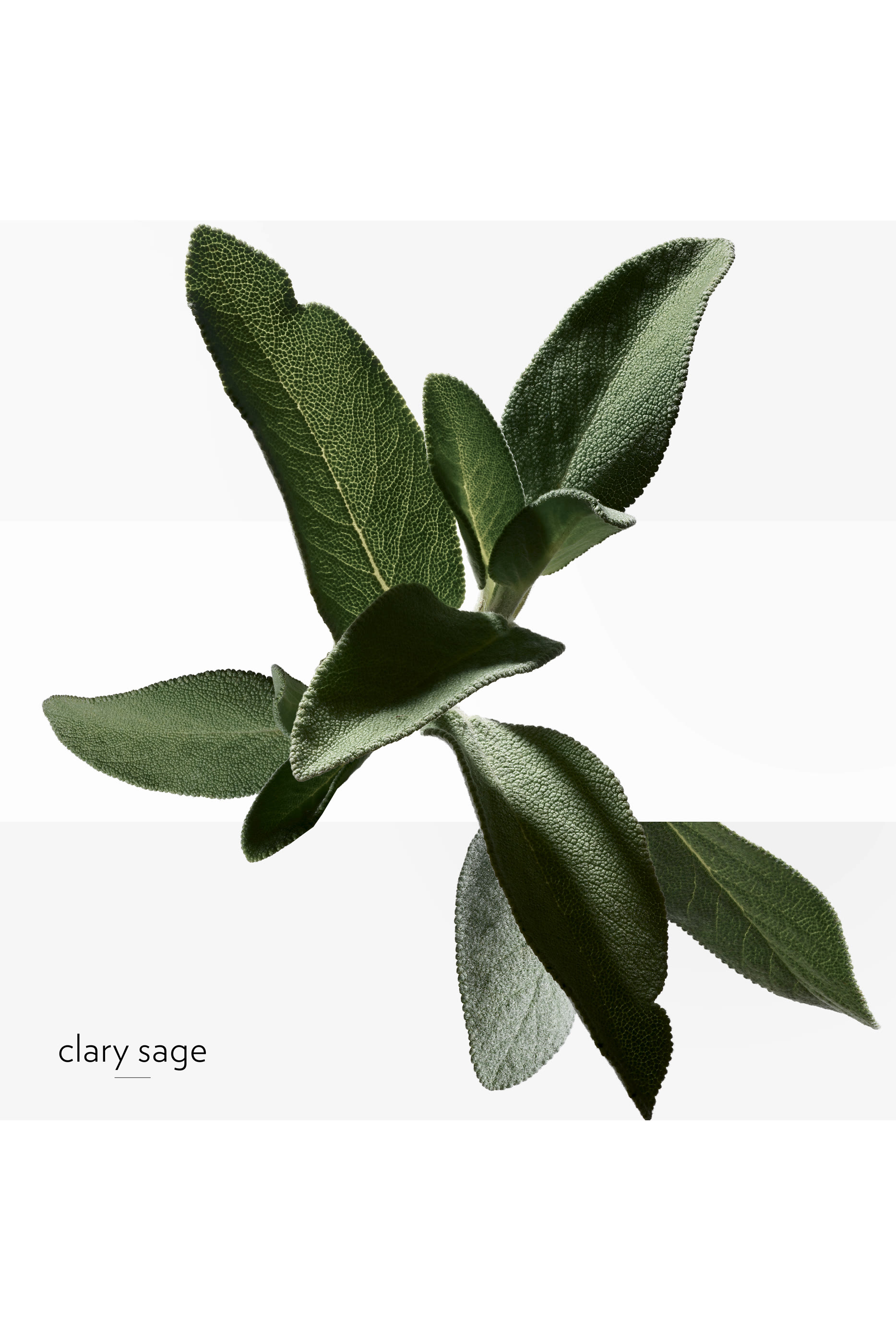 H24, قارورة بديلة من عطر Eau de toilette