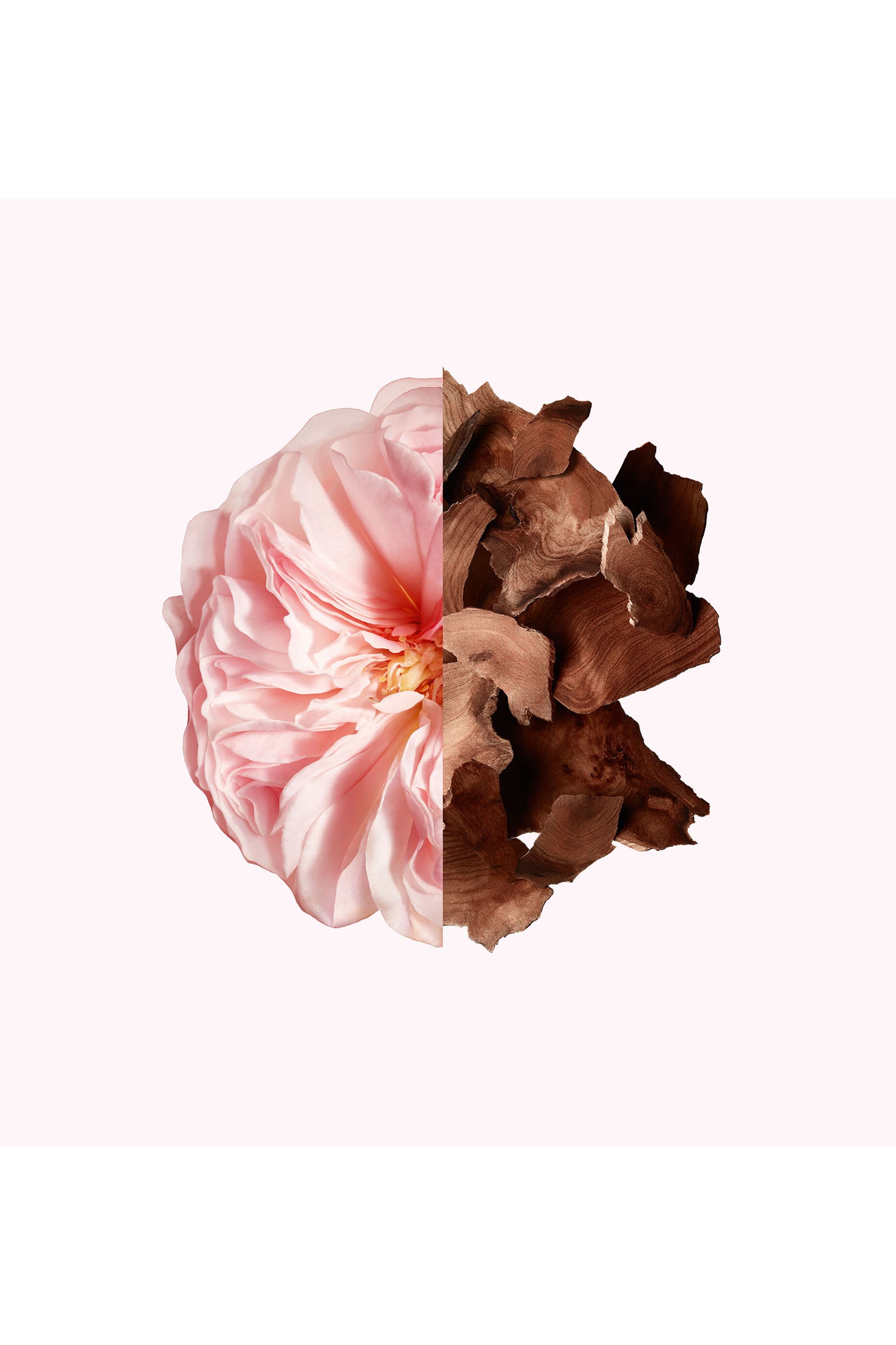 أو دو بارفان إرسيستبل