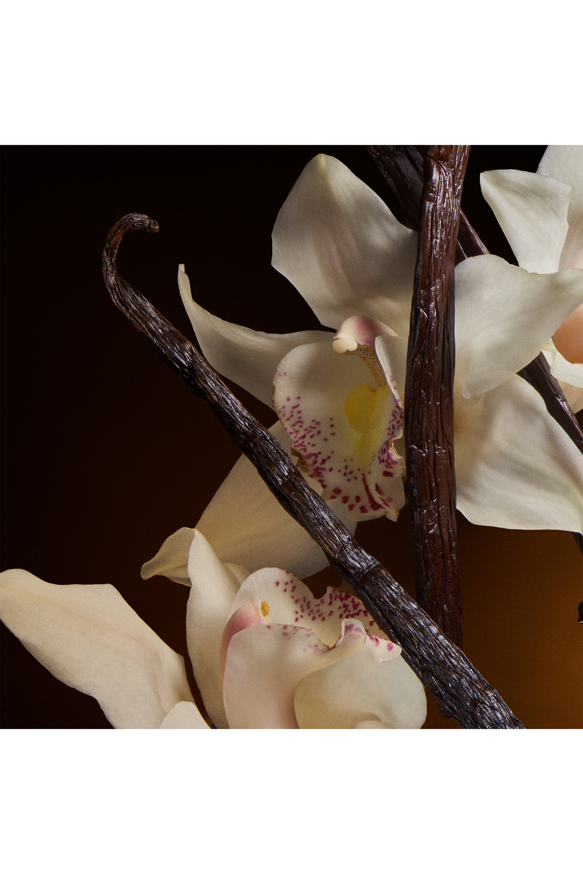 أو دو بارفان مركز ذا وان